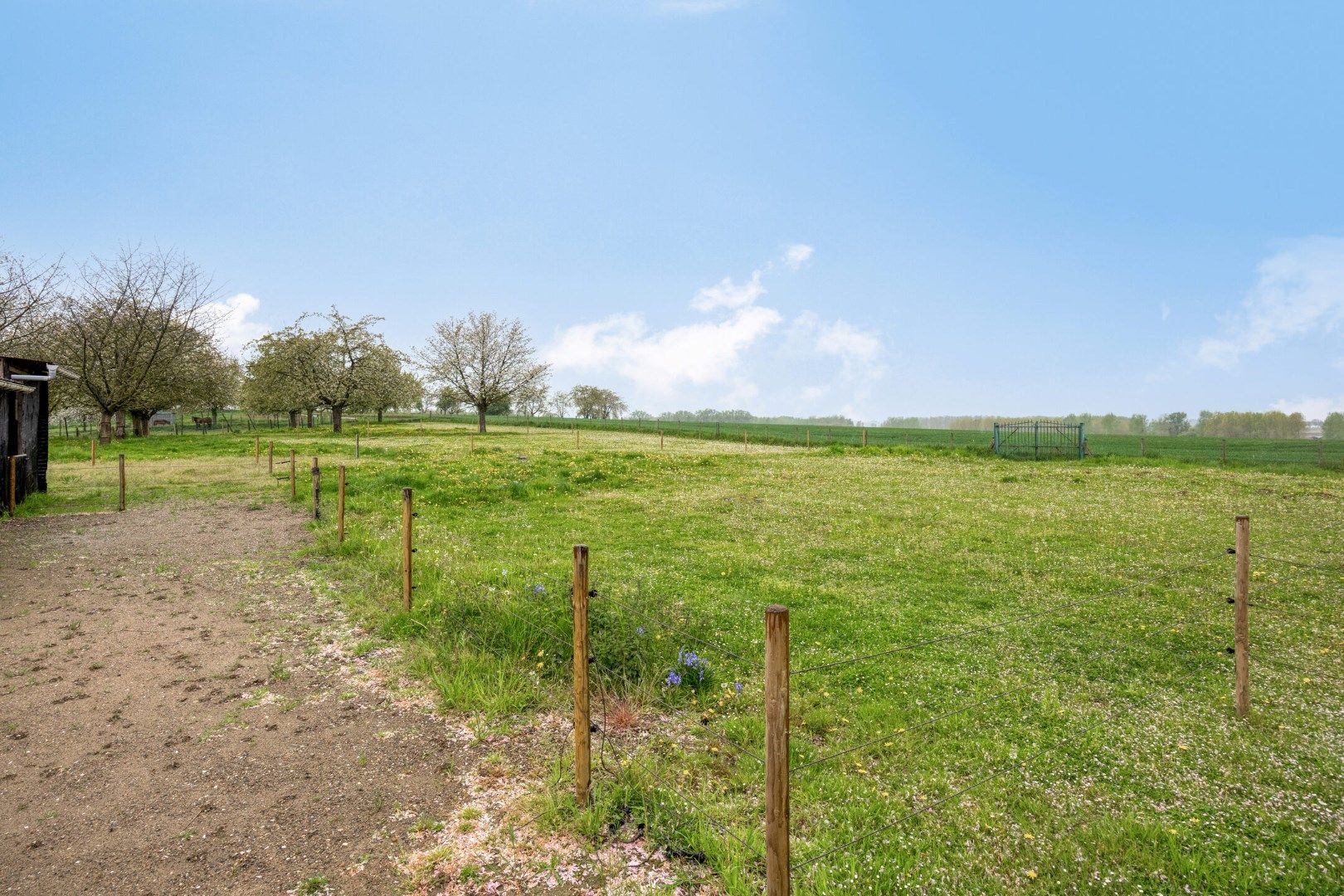 Heks: Woning op 50 are in het hart van Haspengouw, te midden van de natuur foto 28