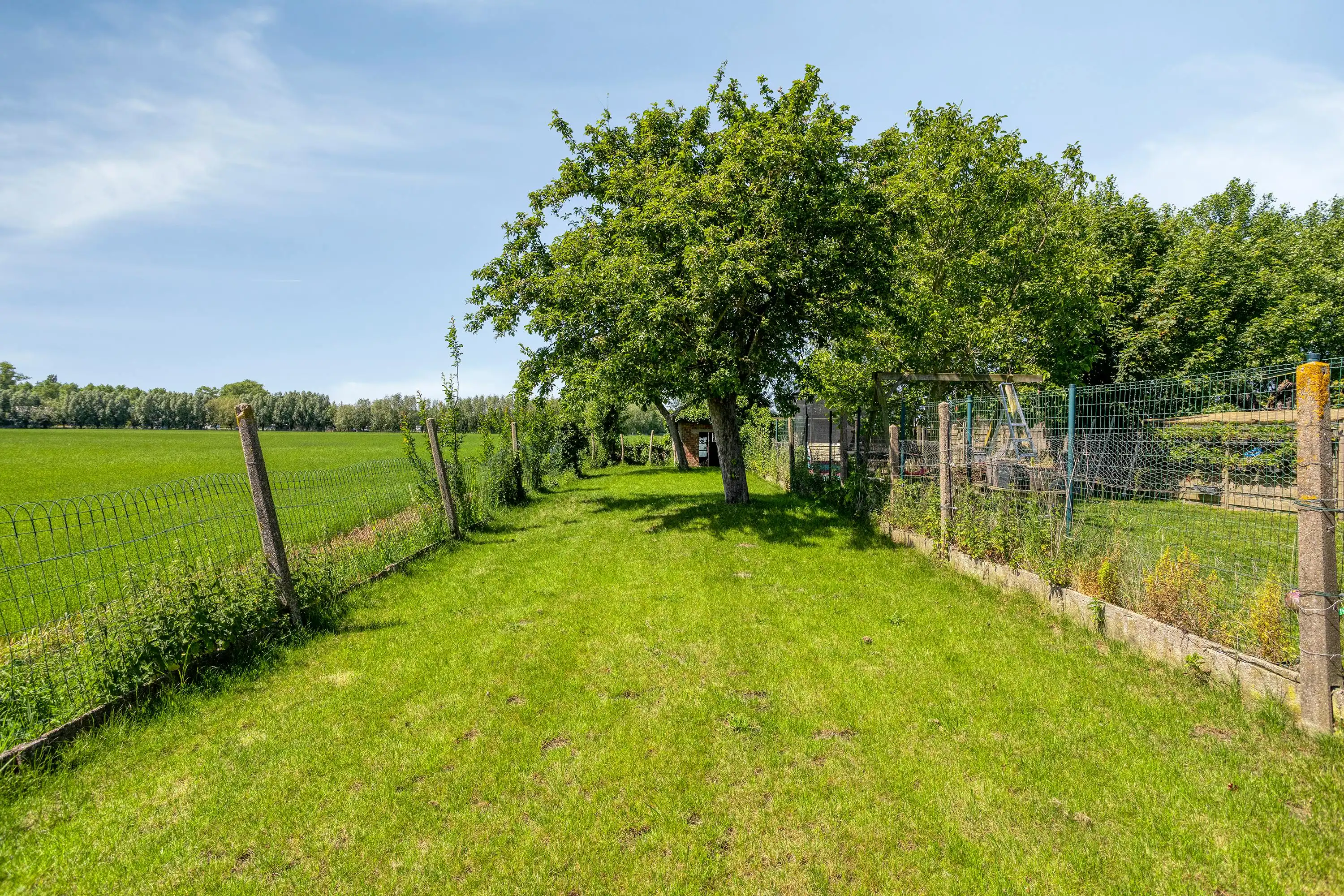 Instapklare halfopen woning te koop in Brugge met ruime tuin foto 6