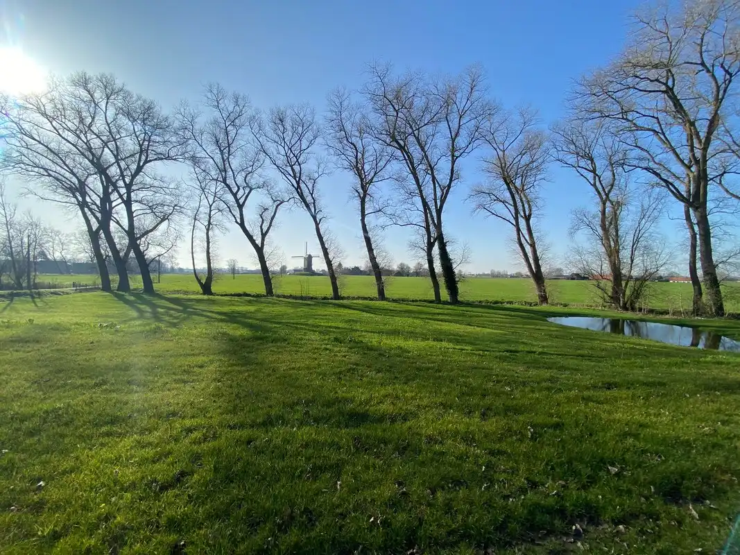 Moderne villa op een rustige en groene locatie in Zarren. foto 2