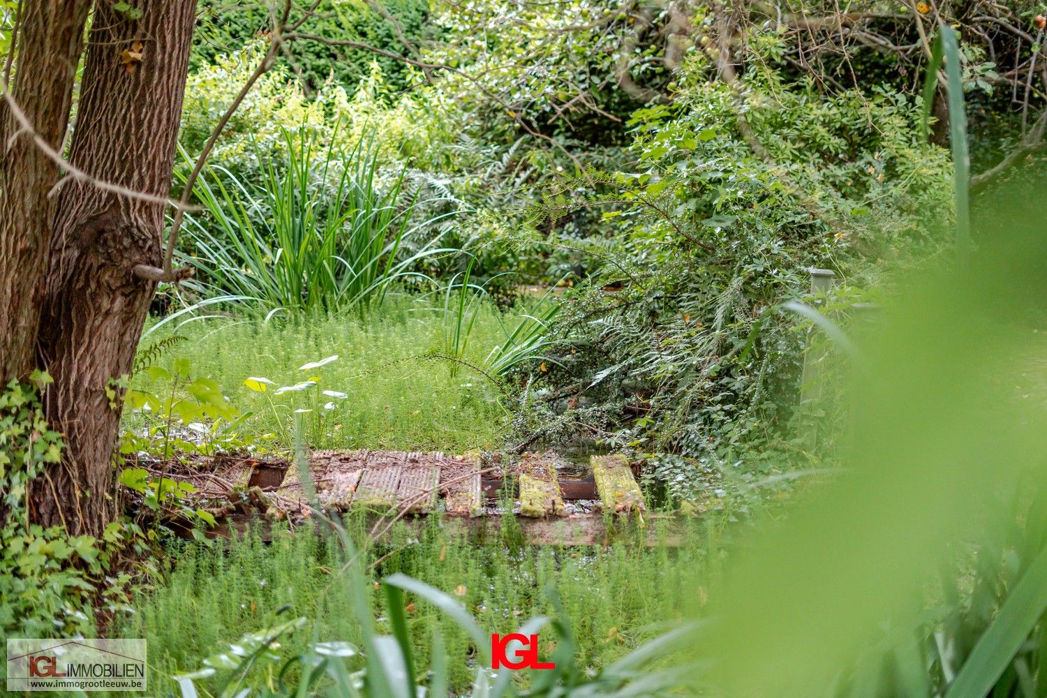 Authentiek herenhuis omgeven door prachtige tuin nabij Brussel foto 37