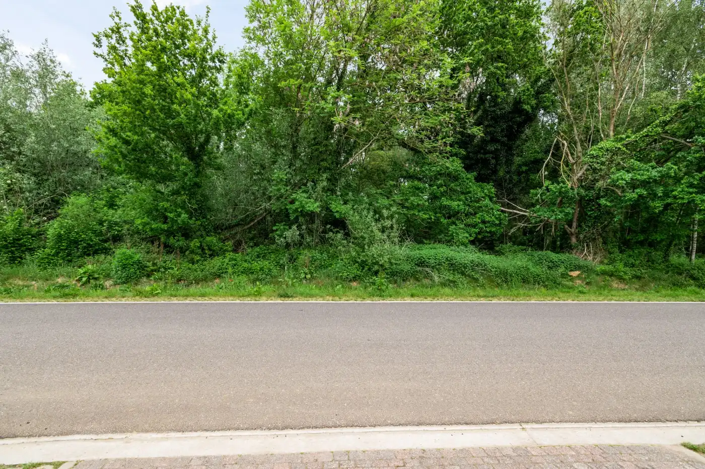 Rustig gelegen bouwgrond van 800m² voor HOB in Olmen foto 7