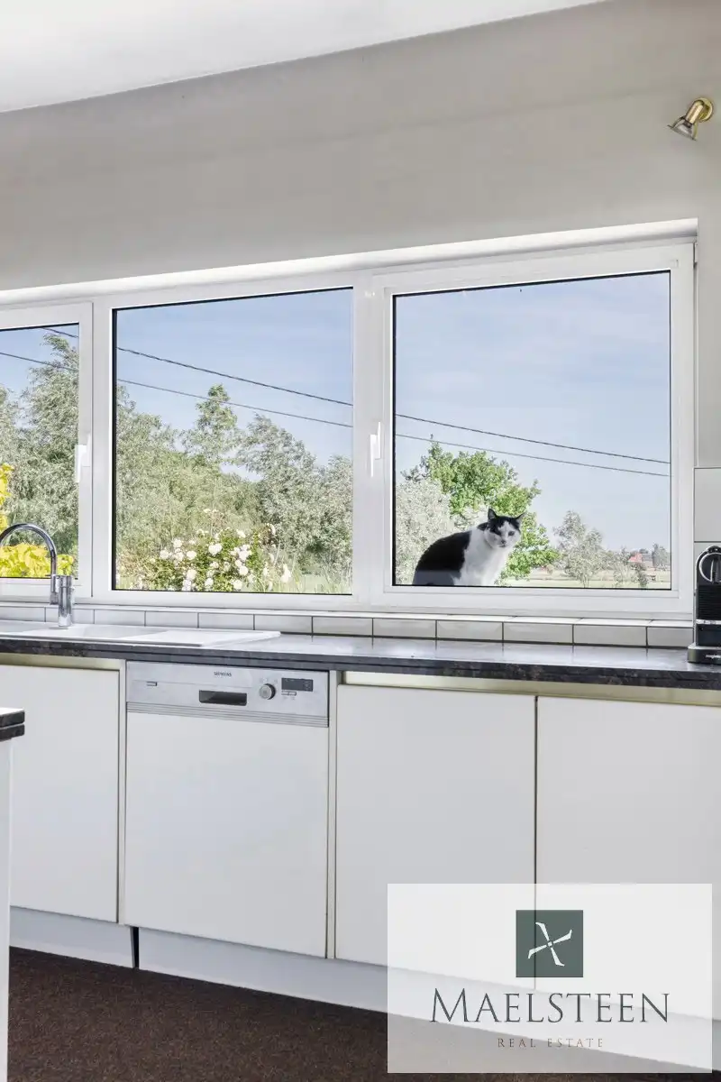 Boerderij op 1,5ha op de flank van Oedelem-berg  foto 16