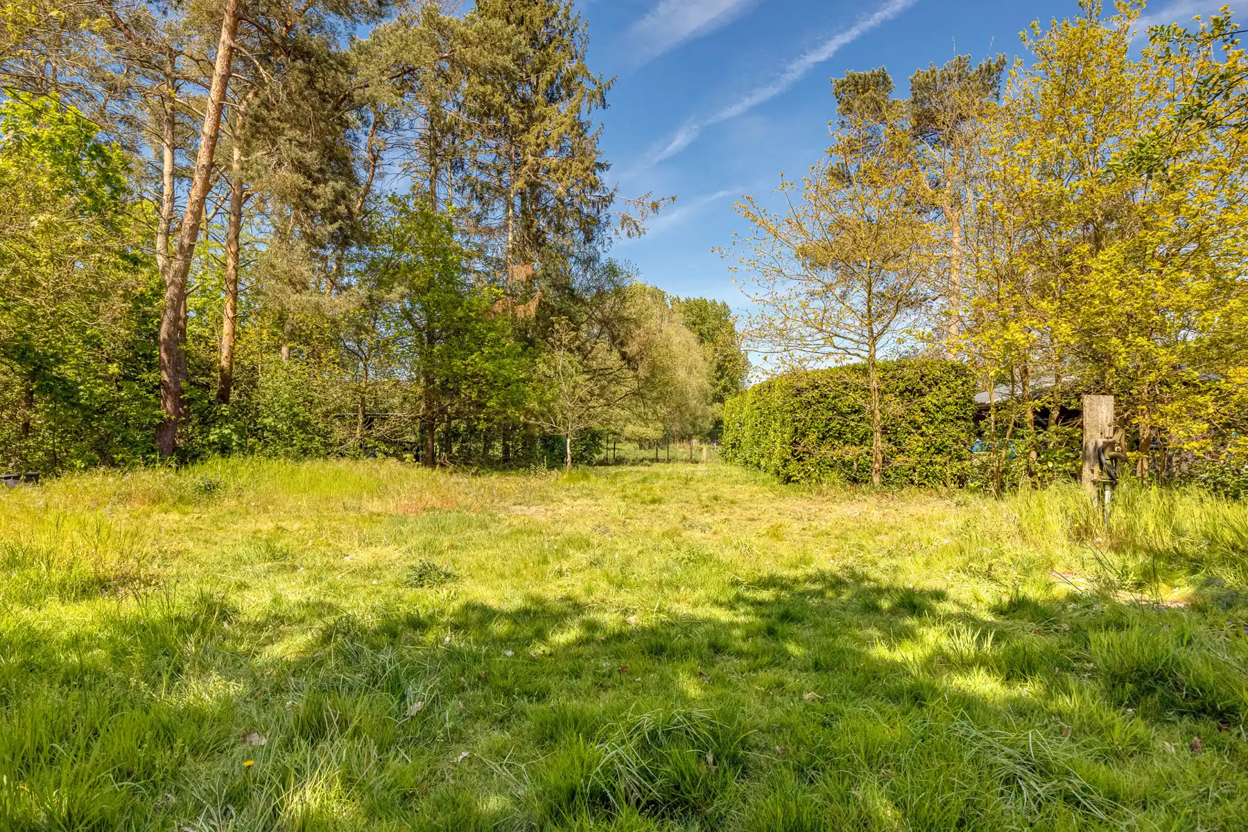 Vrijstaande villa met kantoor op prachtig perceel (6.708m²)! foto 9