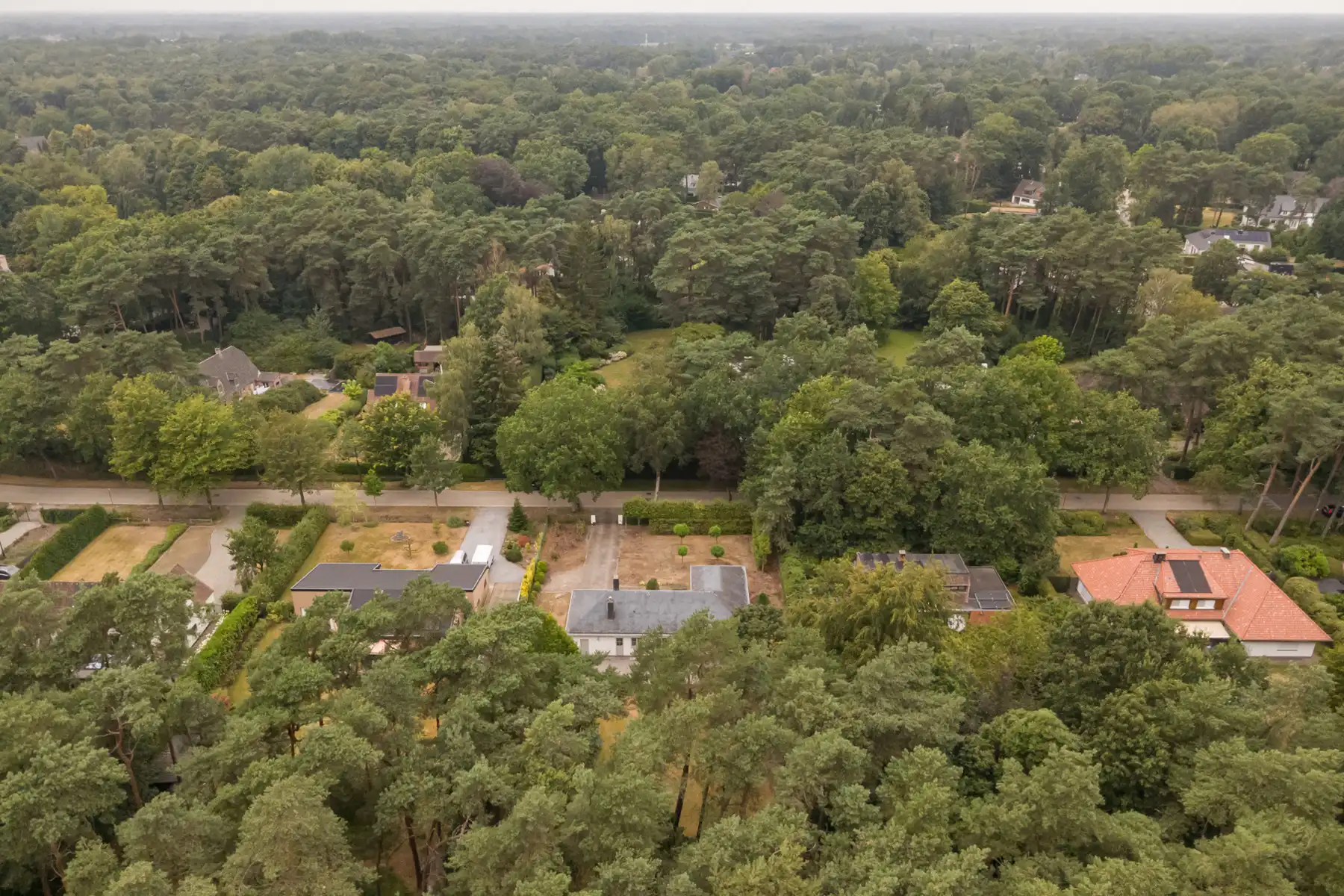 Rustig gelegen te renoveren gelijkvloerse villa op 2265 m² foto 16