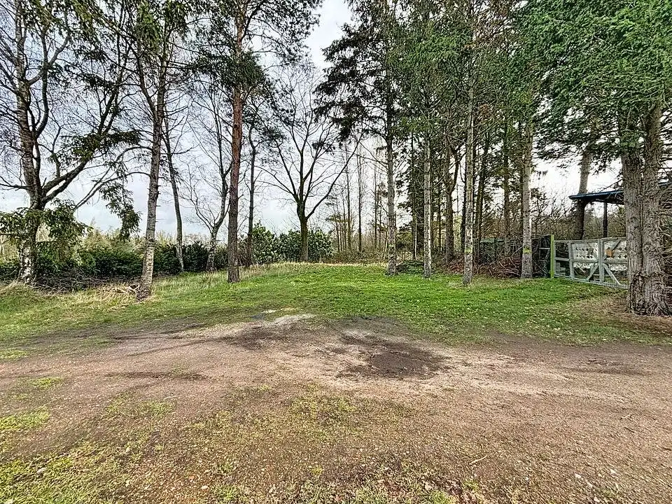 Rustig gelegen grond (997 m²) te koop in Wuustwezel foto 5