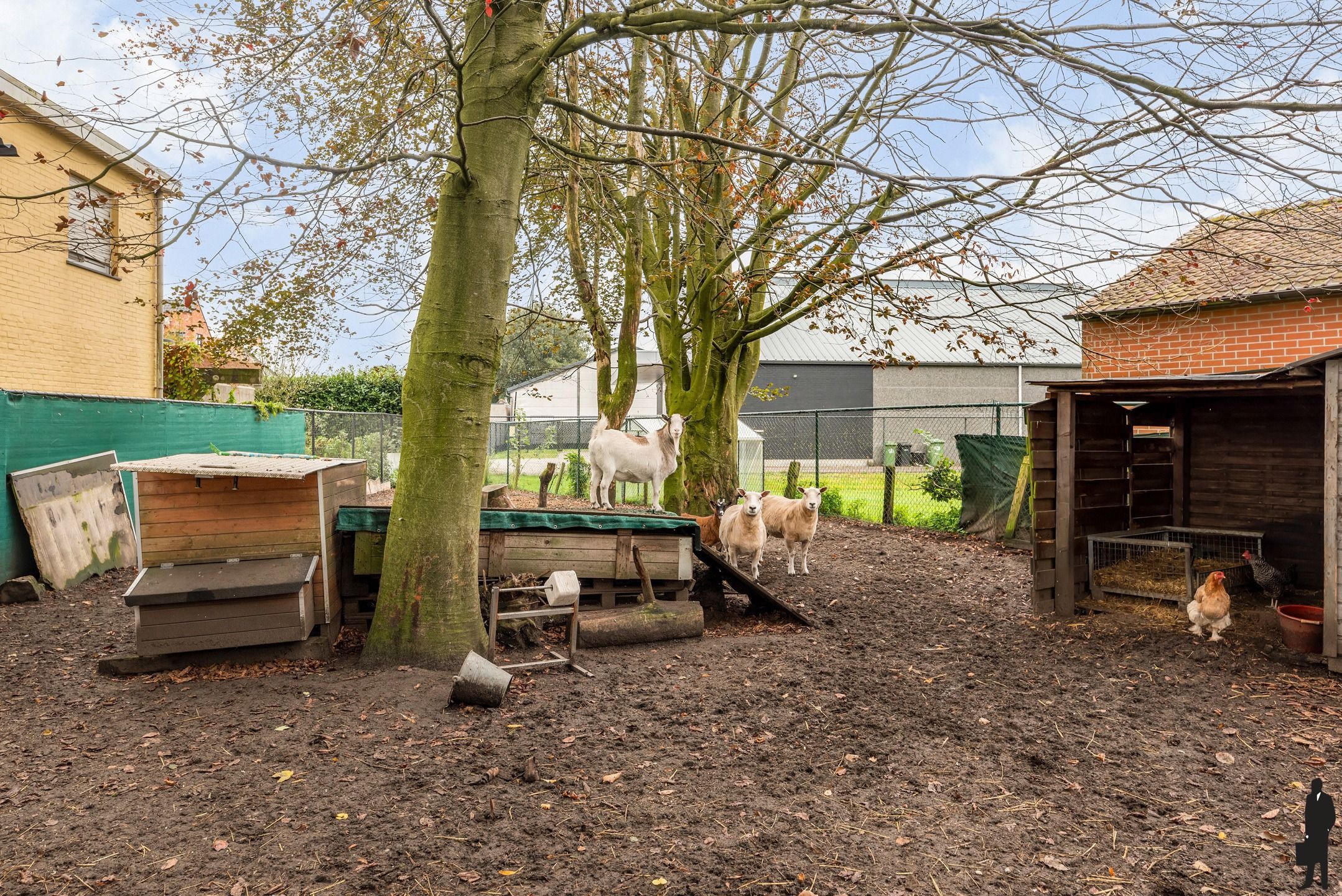 Volledig gerenoveerde woning met 4 slaapkamers  foto 28