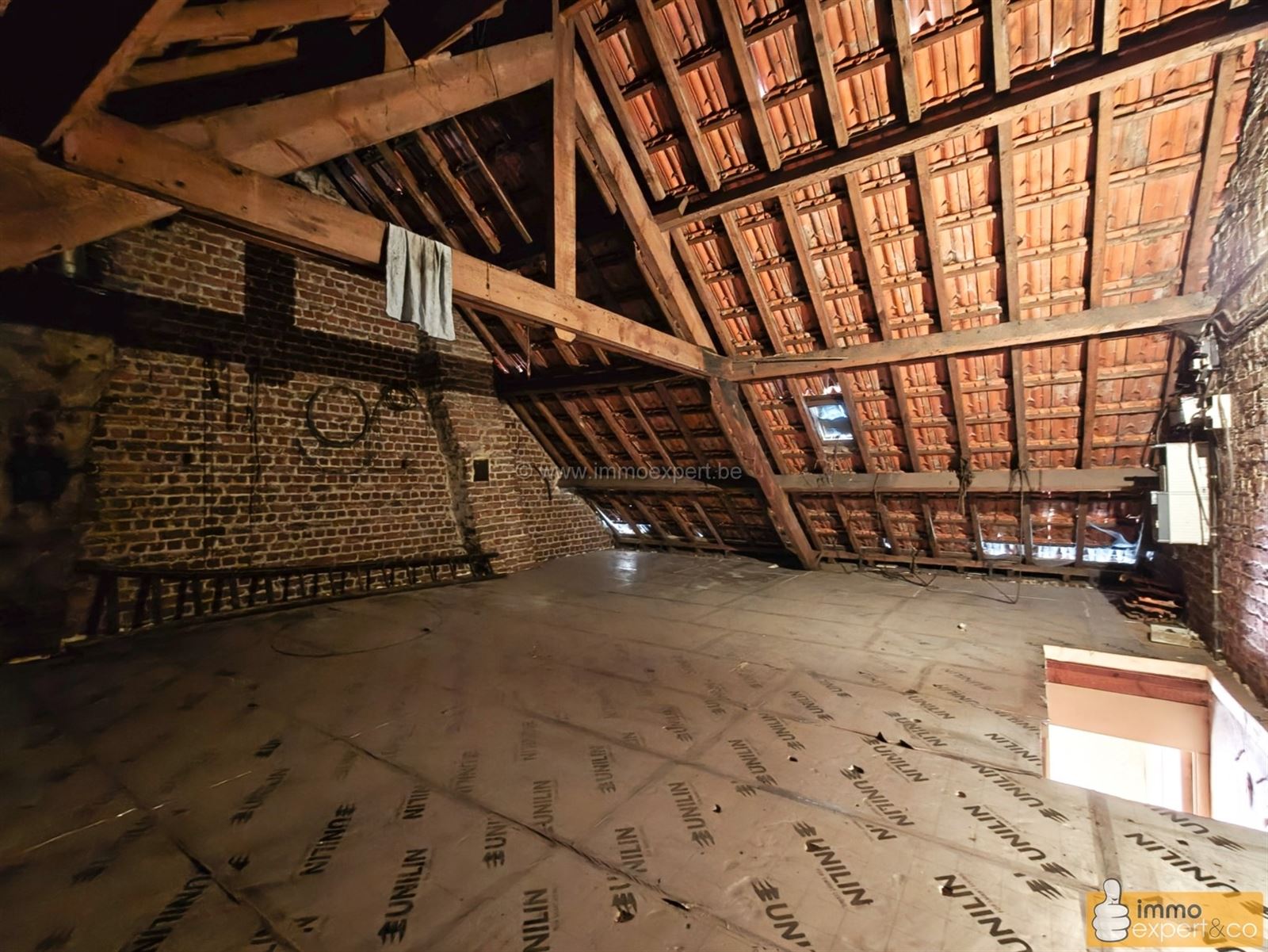 LIEDEKERKE: Landelijk gelegen te renoveren woning foto 19