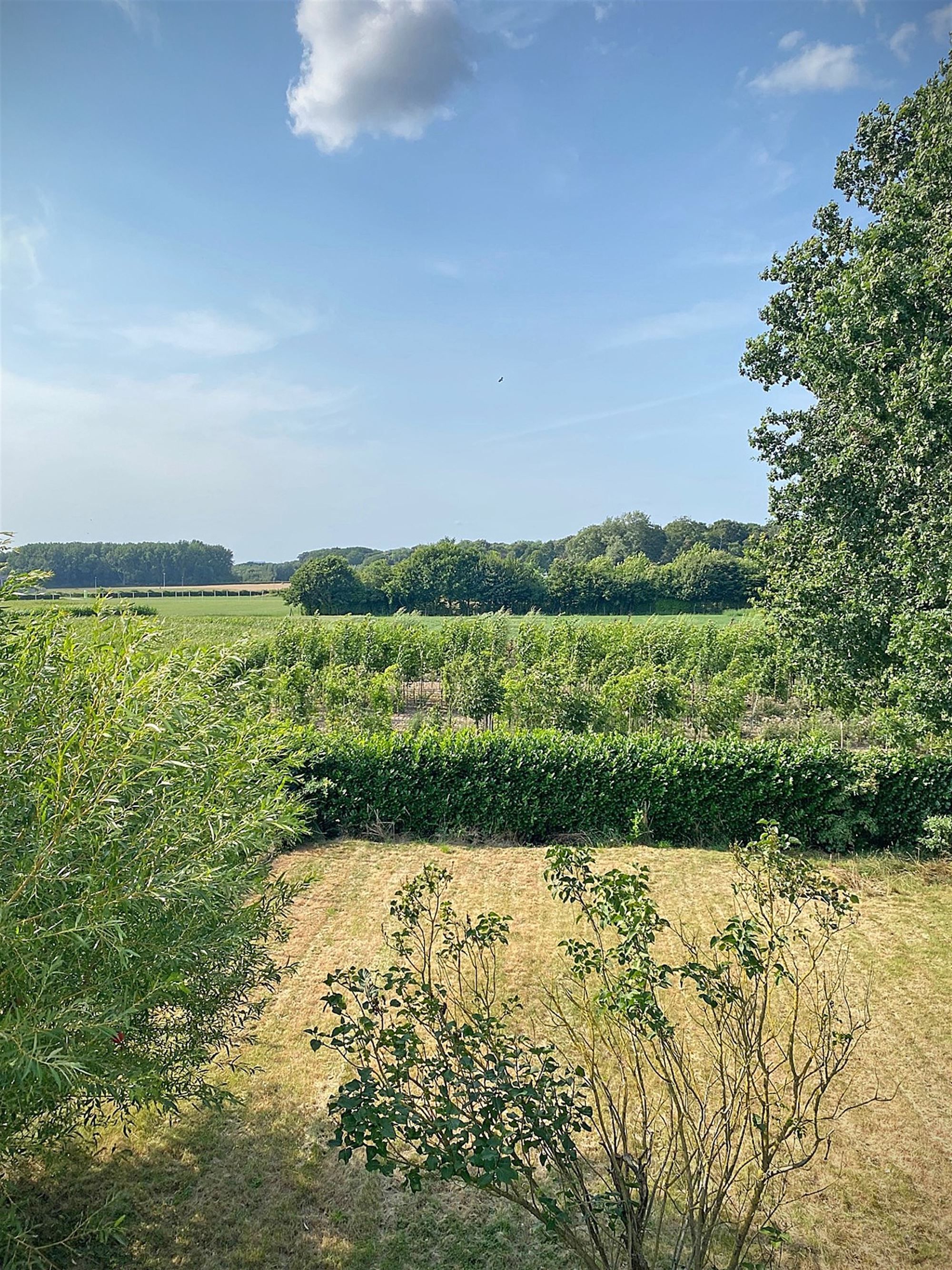 Ruime VERNIEUWDE HALFOPEN BEBOUWING met 4 SLAAPKAMERS ... foto 11