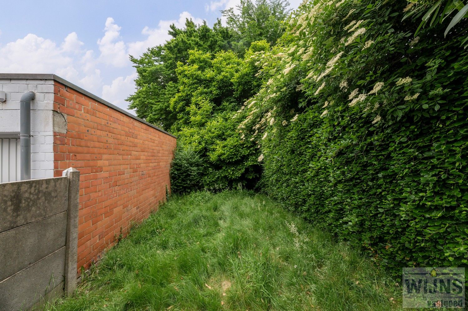Te renoveren woning met tuin, op wandelafstand van centrum en station. foto 26
