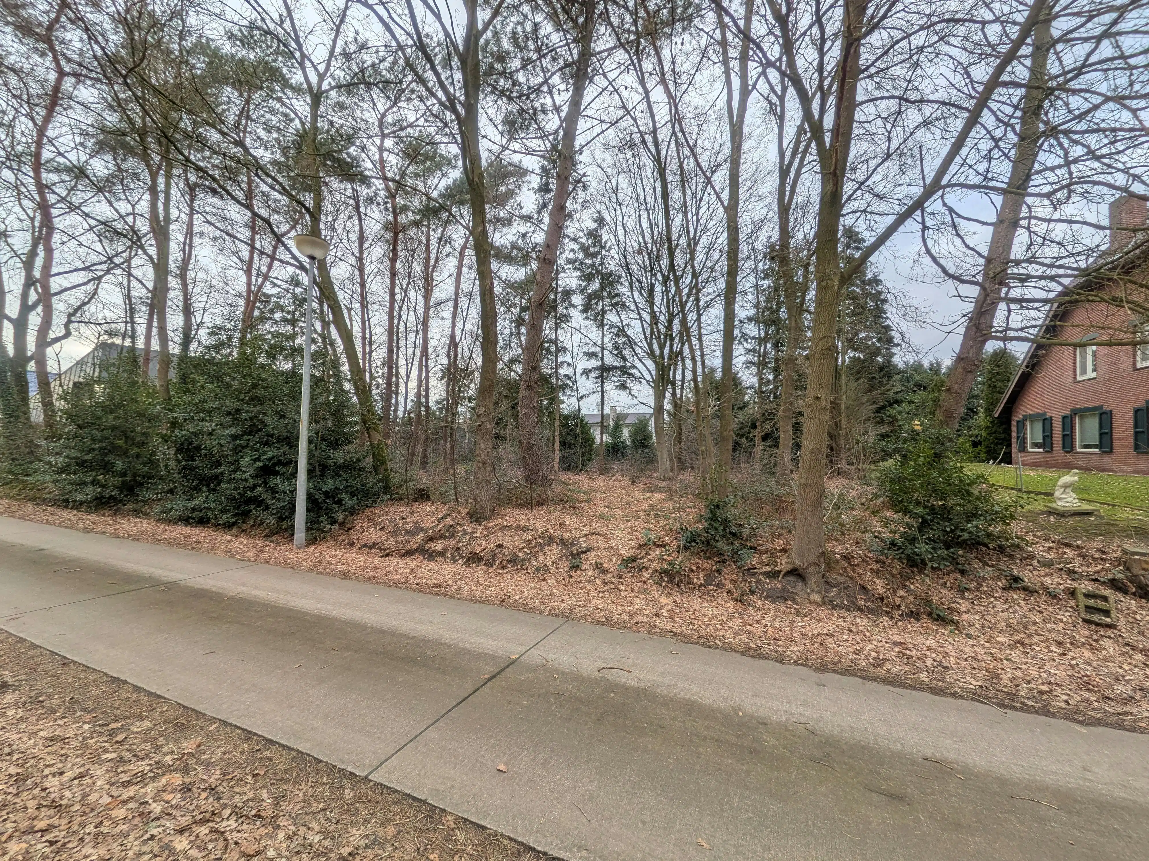 Villagrond van 14 are, 35m breed, te koop in Ravels/Poppel foto 4