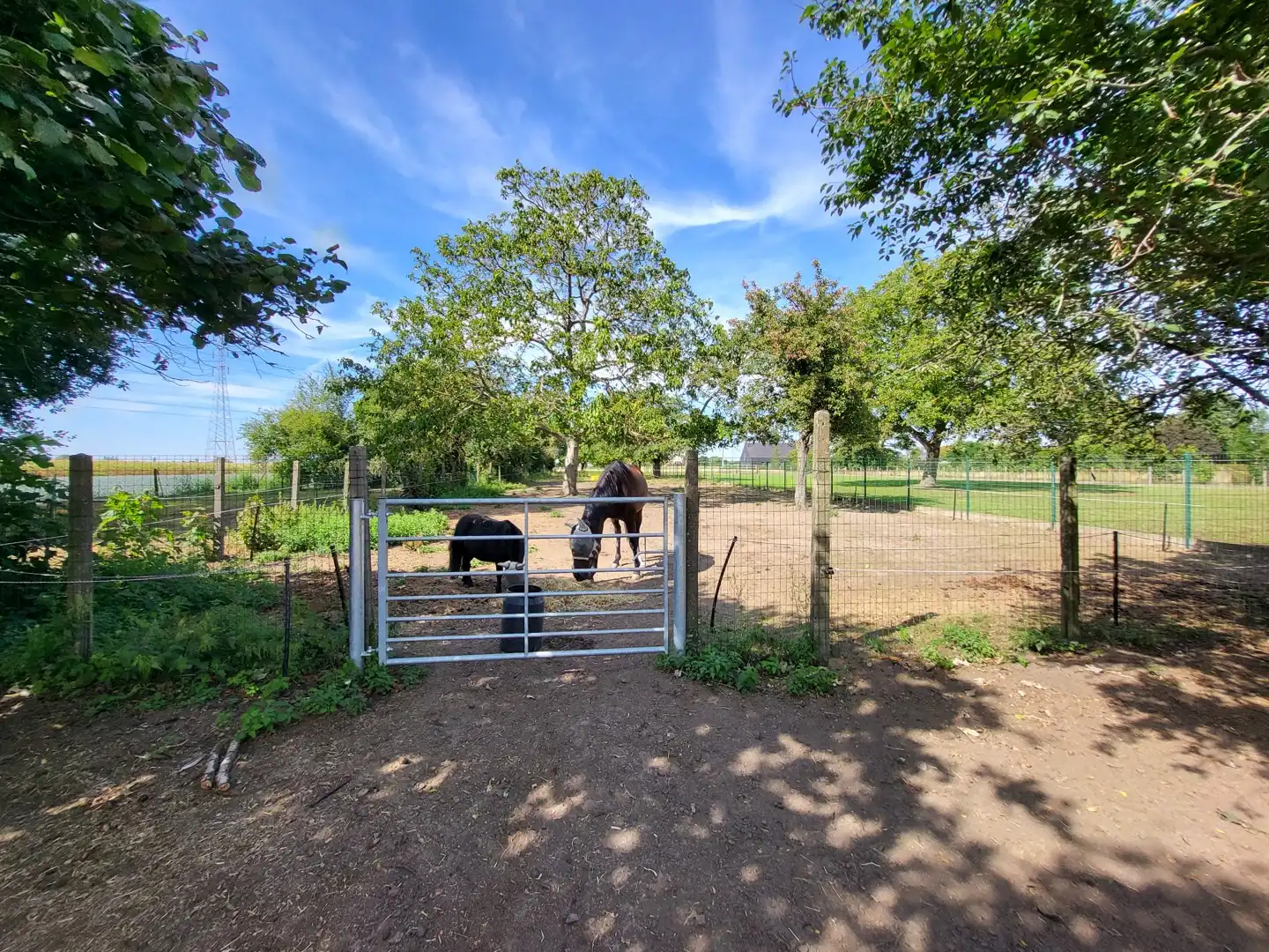 Karaktervolle eigendom met uitzonderlijk potentieel, paardenstal en 2 ruime garages op 2.550 m², met 248 m² bewoonbare oppervlakte. foto 7