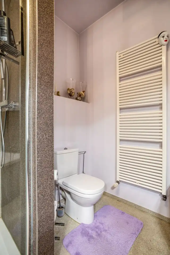 Instapklare woning aan het stadscentrum van Tongeren foto 16