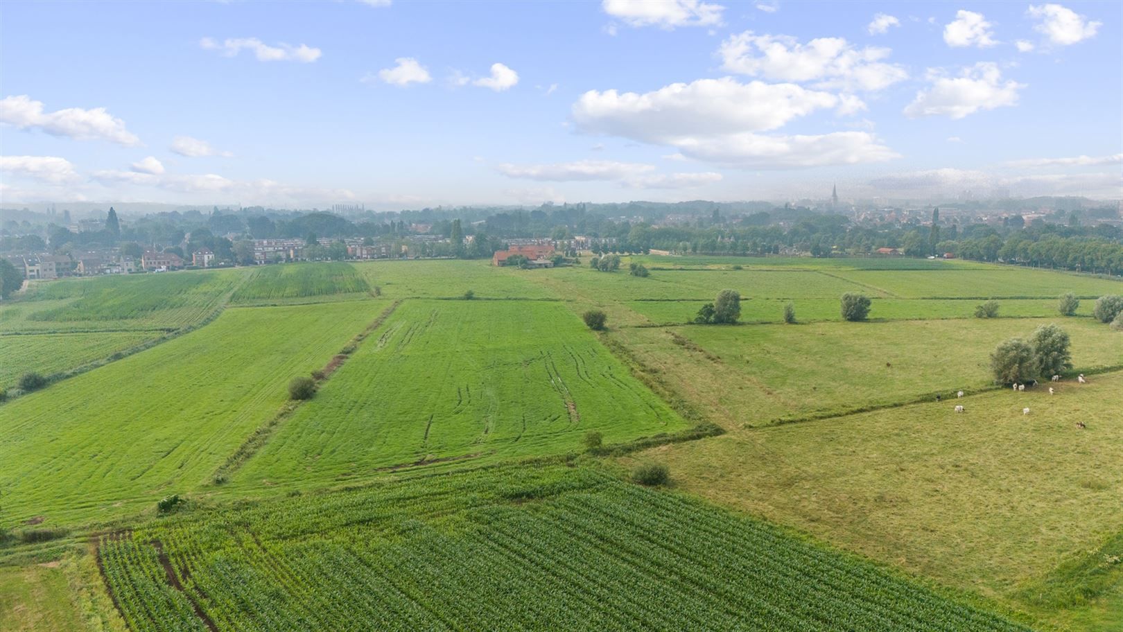 Boerderij met iets meer dan 38ha grond foto 13