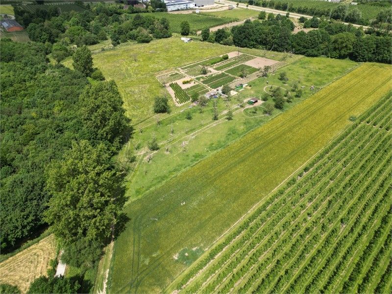 WEIDE VAN 1H5A68CA IN ORDINGEN foto 3