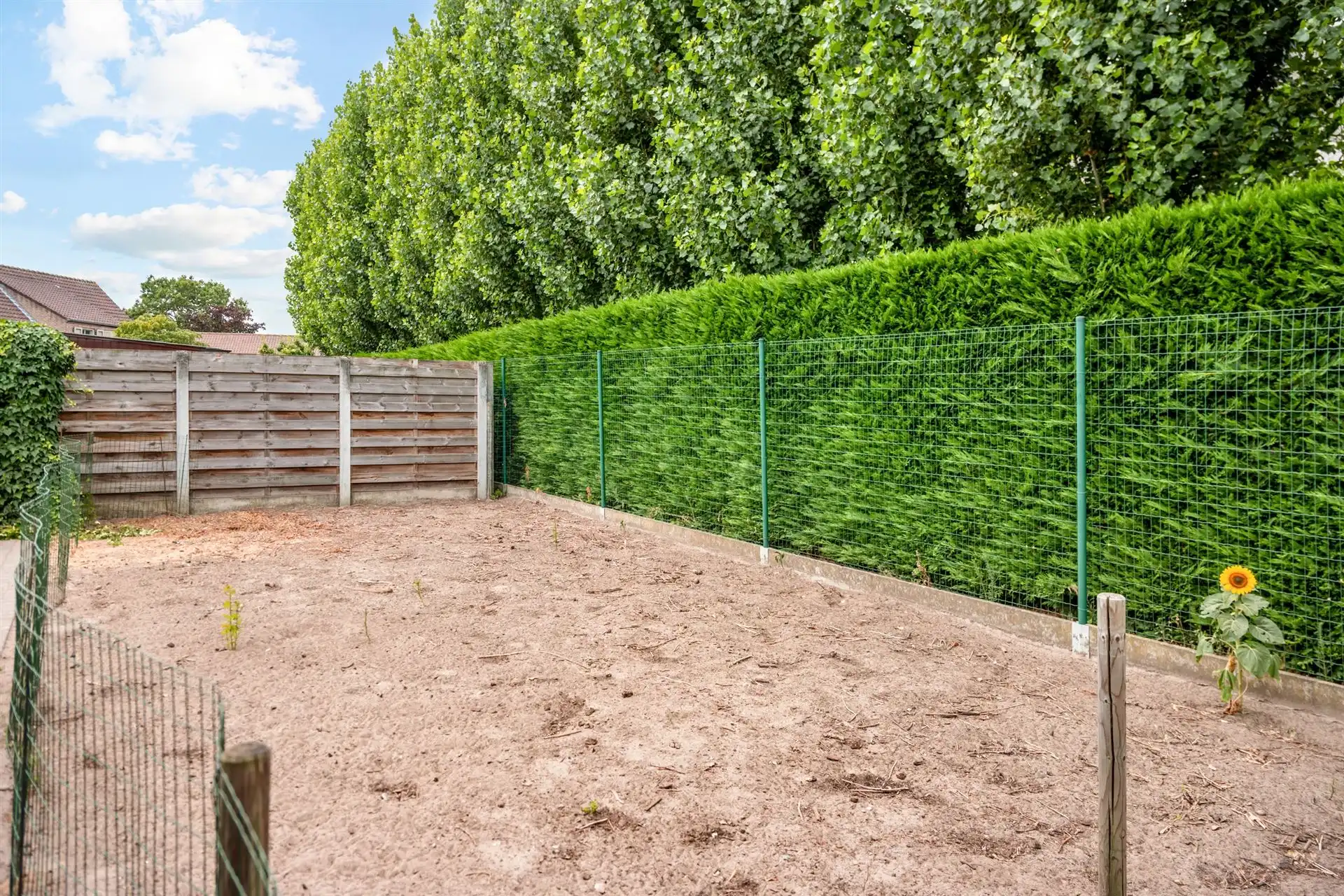 Degelijke woning (onderkelderd) + aparte garage en tuin.  foto 8