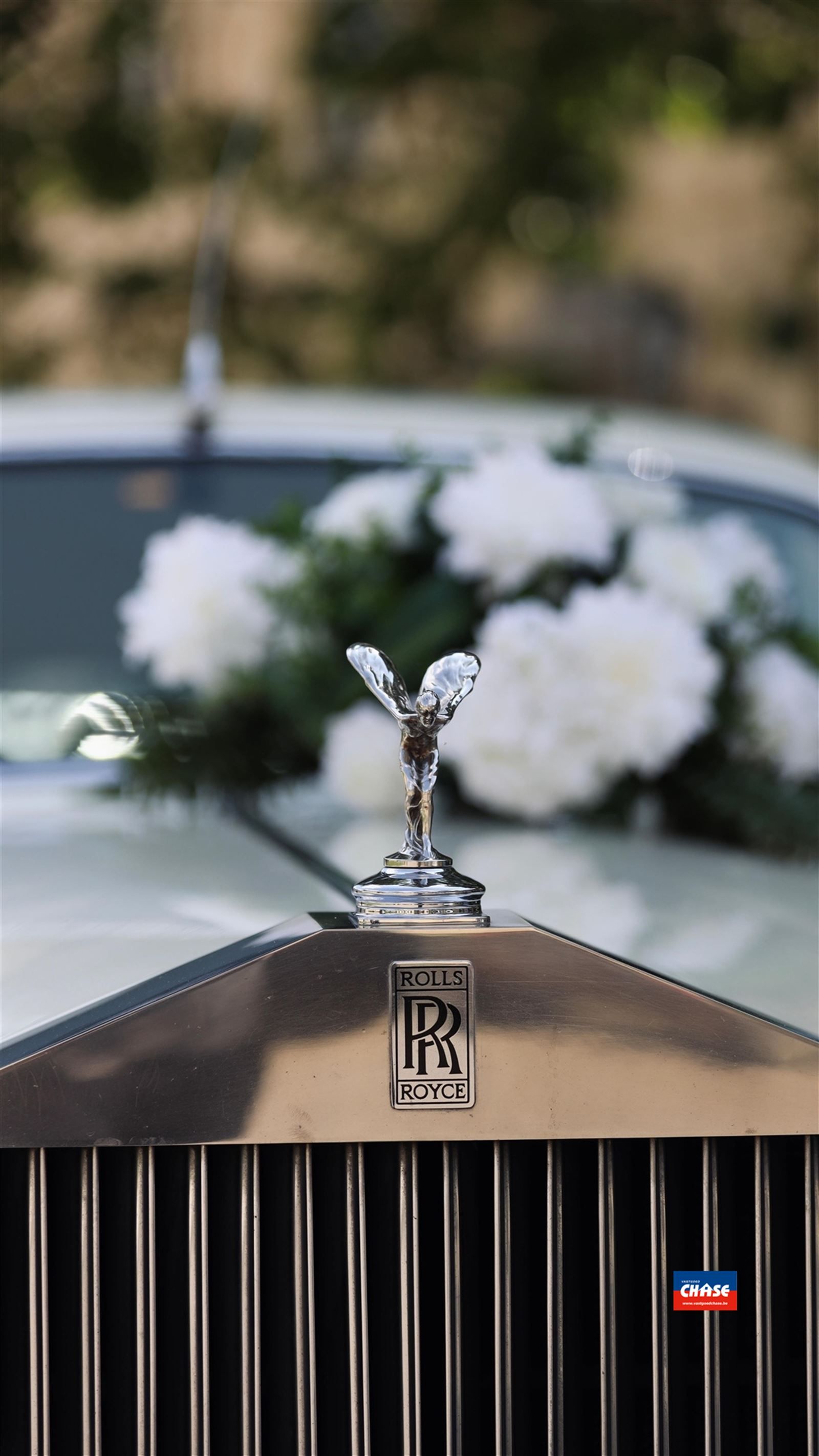 Over te nemen Brasserie regio Noord-Antwerpen foto 4