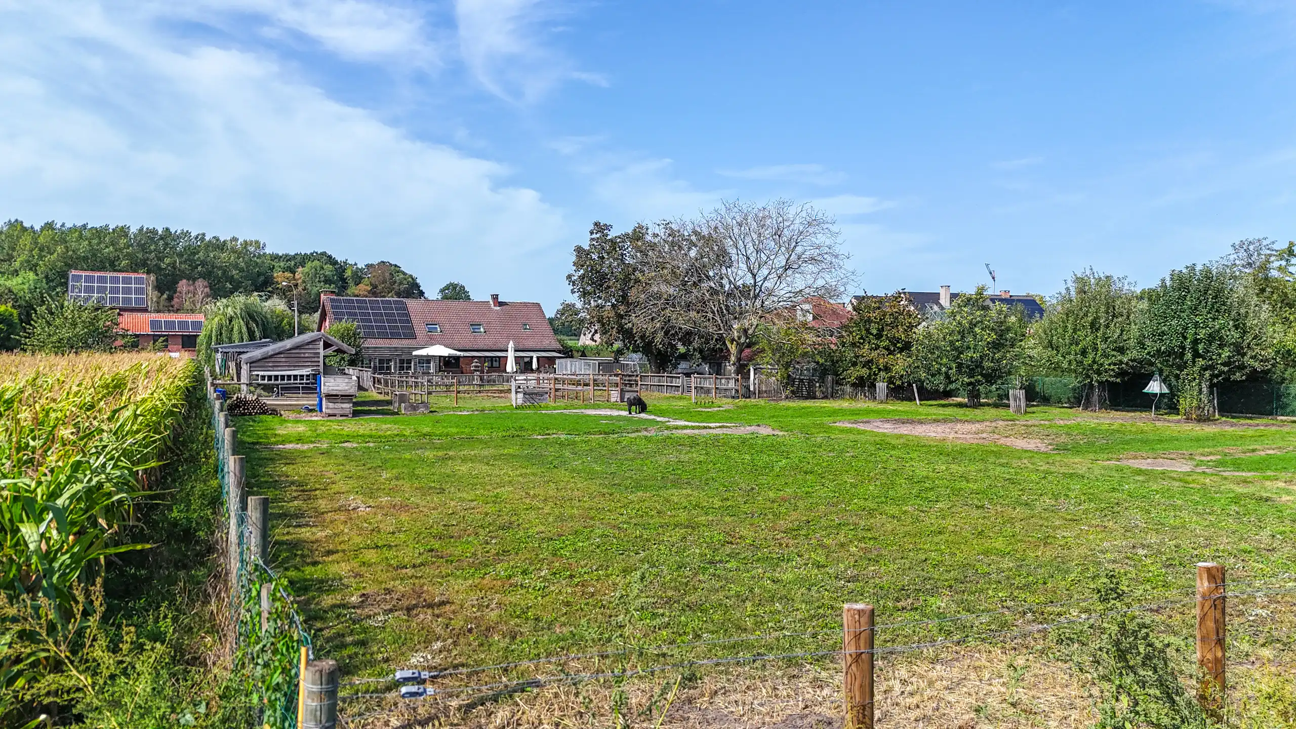 Landelijke woning met 6 slpks op perceel van 36a 70ca! foto 46