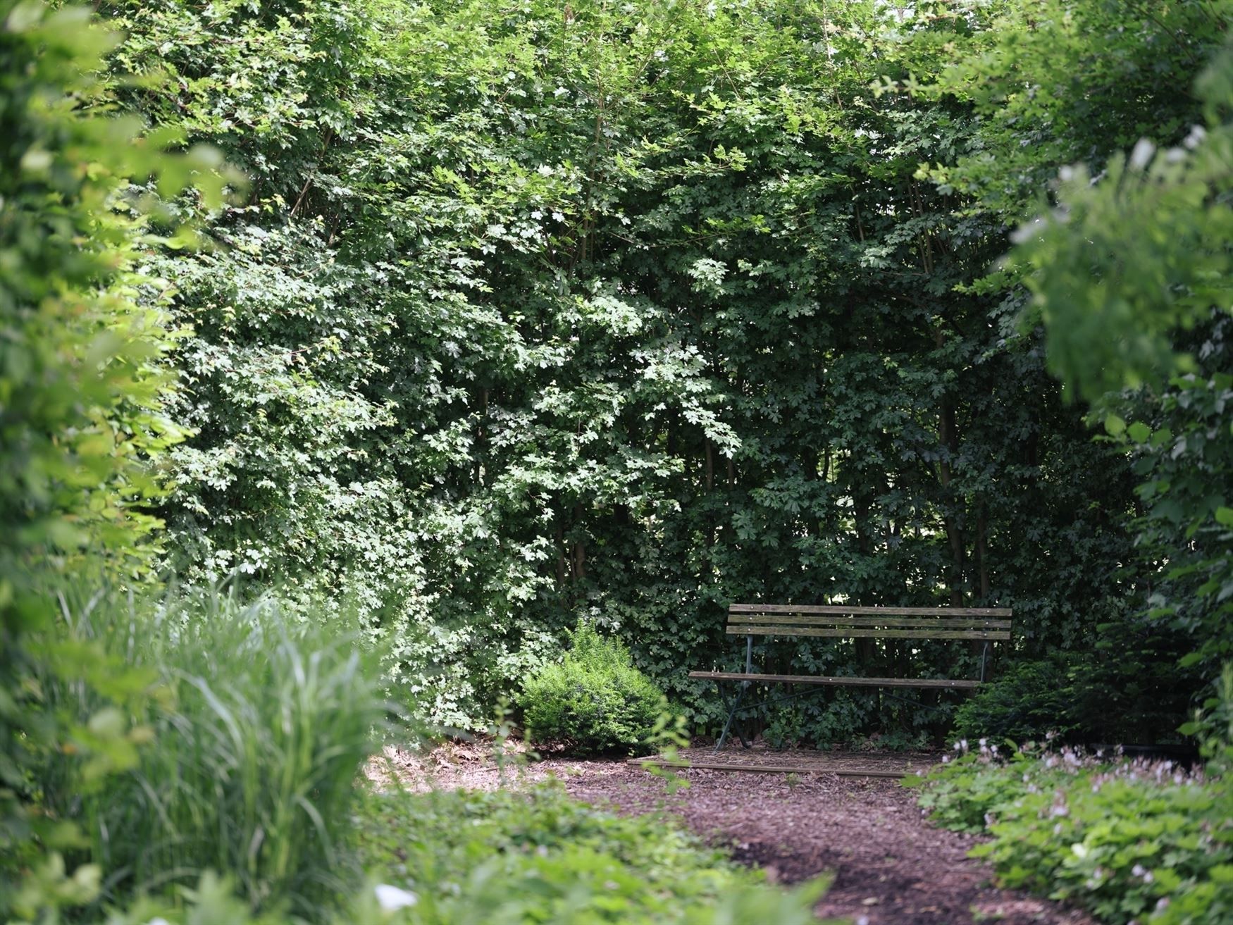 Mooie gezinsvilla met zonnige tuin en weide foto 24