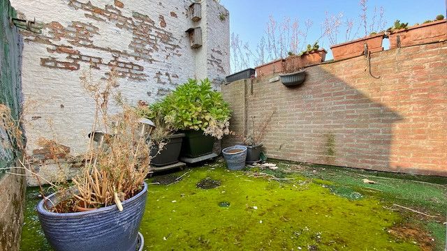 Knusse te renoveren rijwoning met 2 tot 3 slaapkamers en 2 terrassen. foto 18