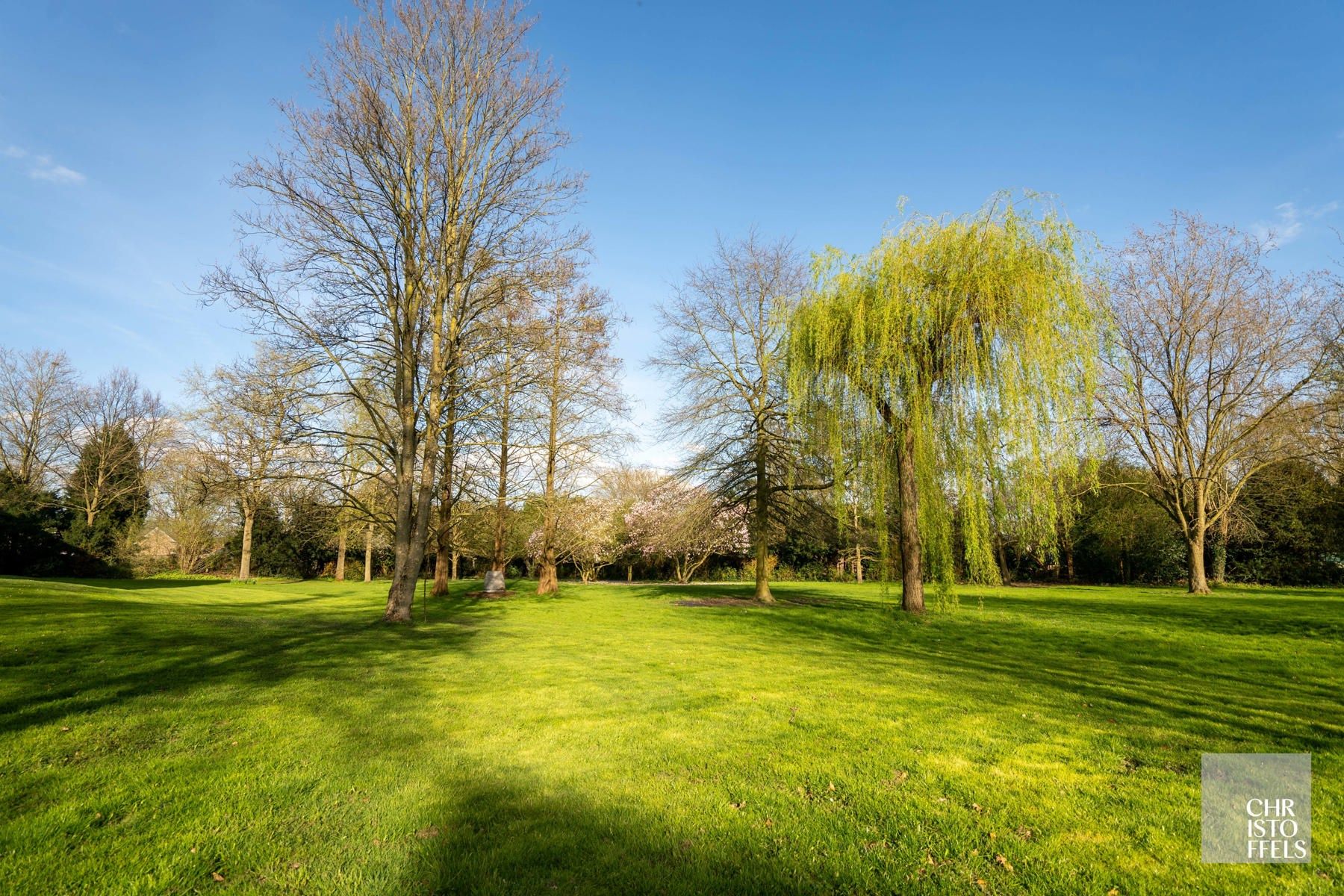 Villa-appartement (273m²) met renovatiepotentieel in een groene omgeving in Lanaken! foto 6