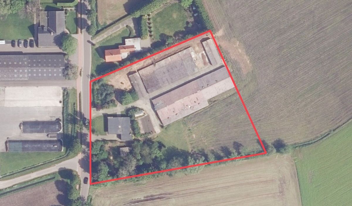 Hoeve met stallen en landbouwgrond te koop te Weelde foto 2