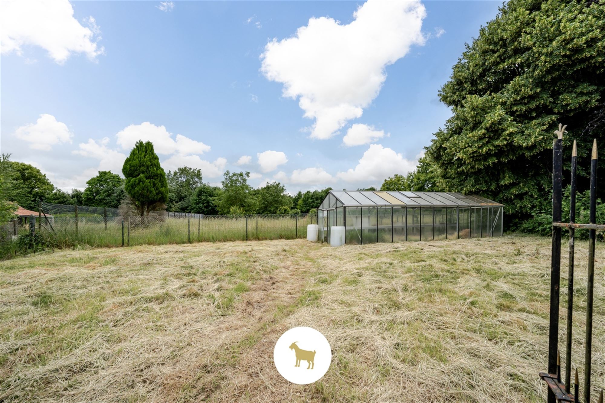 Ruime DORPSWONING met SCHUUR, BIJGEBOUW, BINNENKOER, TUIN & 4 (tot 5) SLAAPKAMERS, op een PERCEEL grond van ca. 920m² foto 11