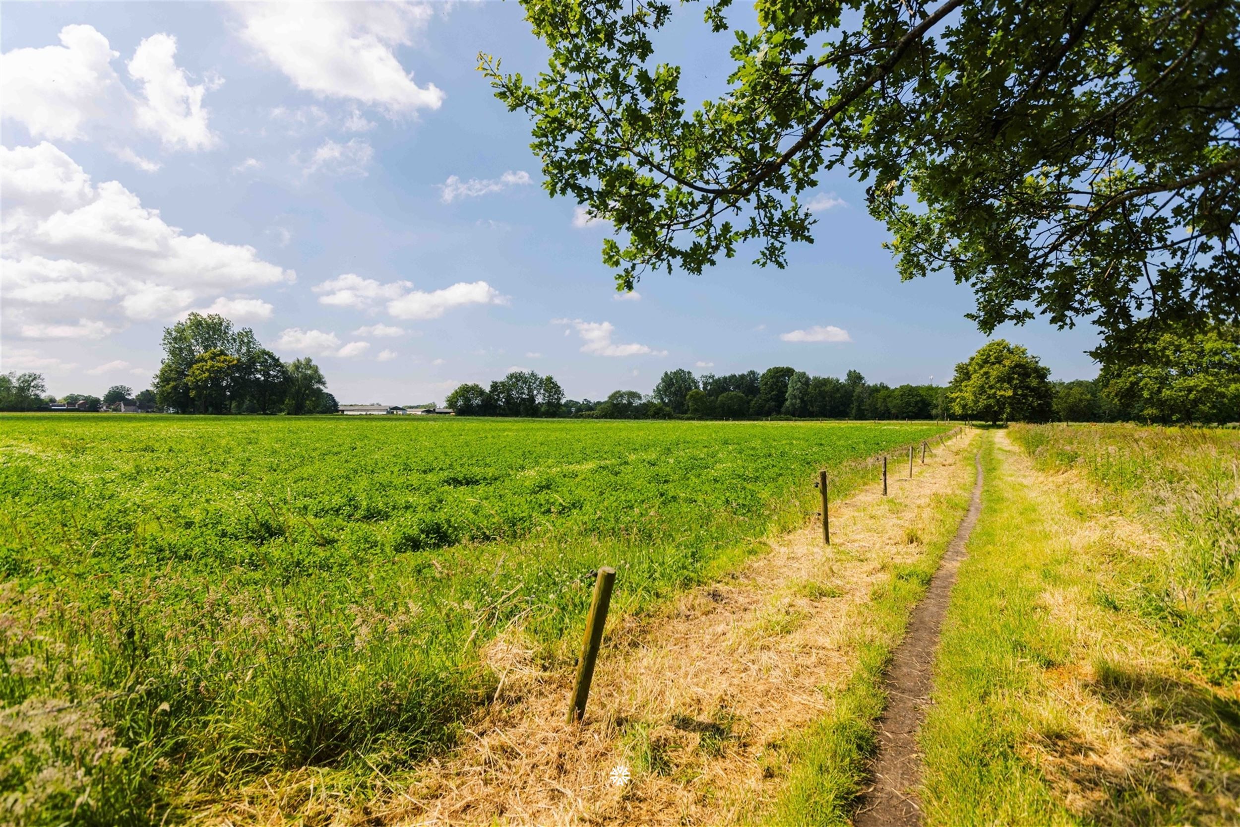 Recente woning op een rustige locatie in De Klinge foto 31