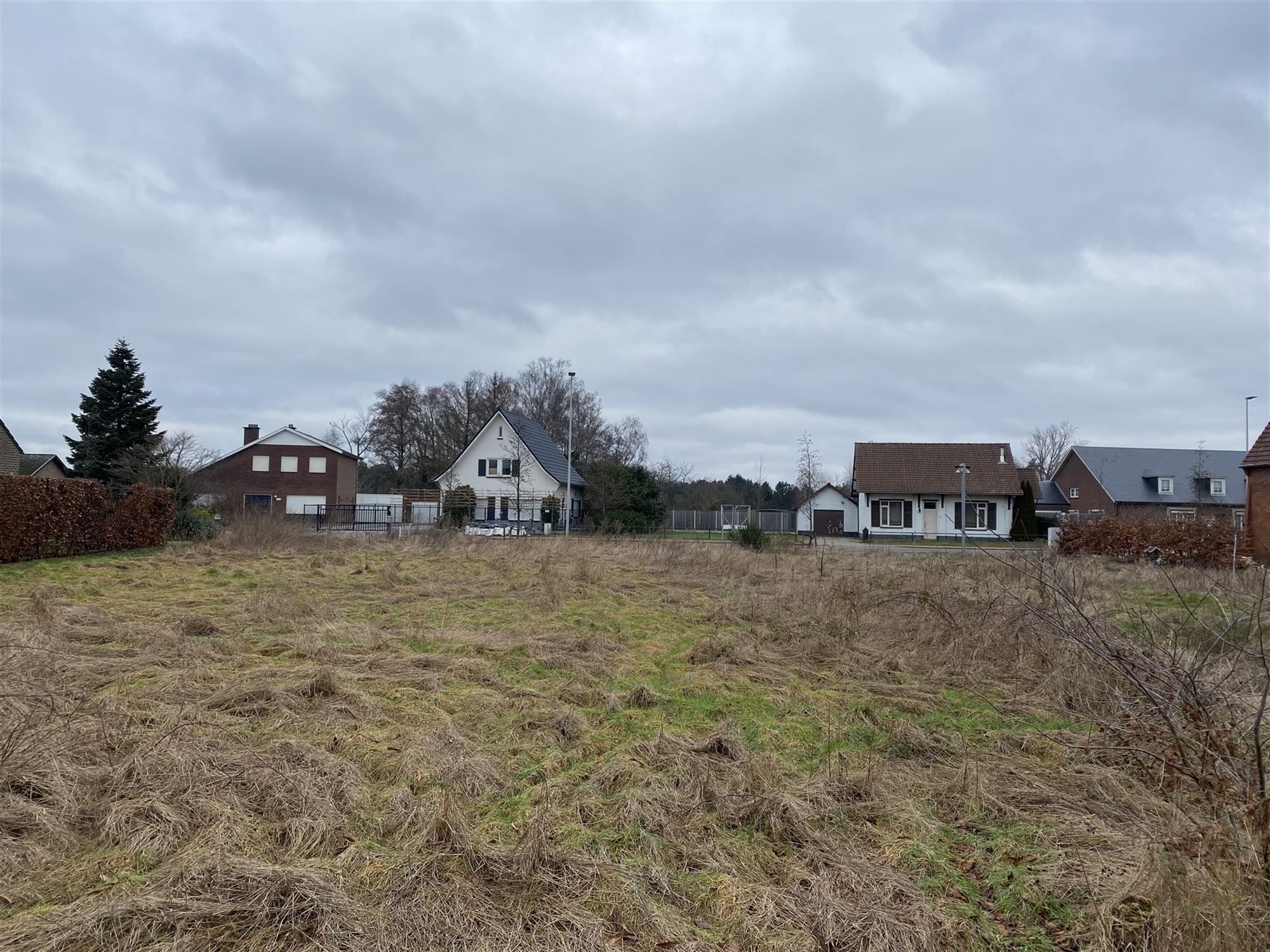 ZUIDGERICHT PERCEEL MET MOOIE STRAATBREEDTE EN VEEL MOGELIJKHEDEN TE PELT foto 3