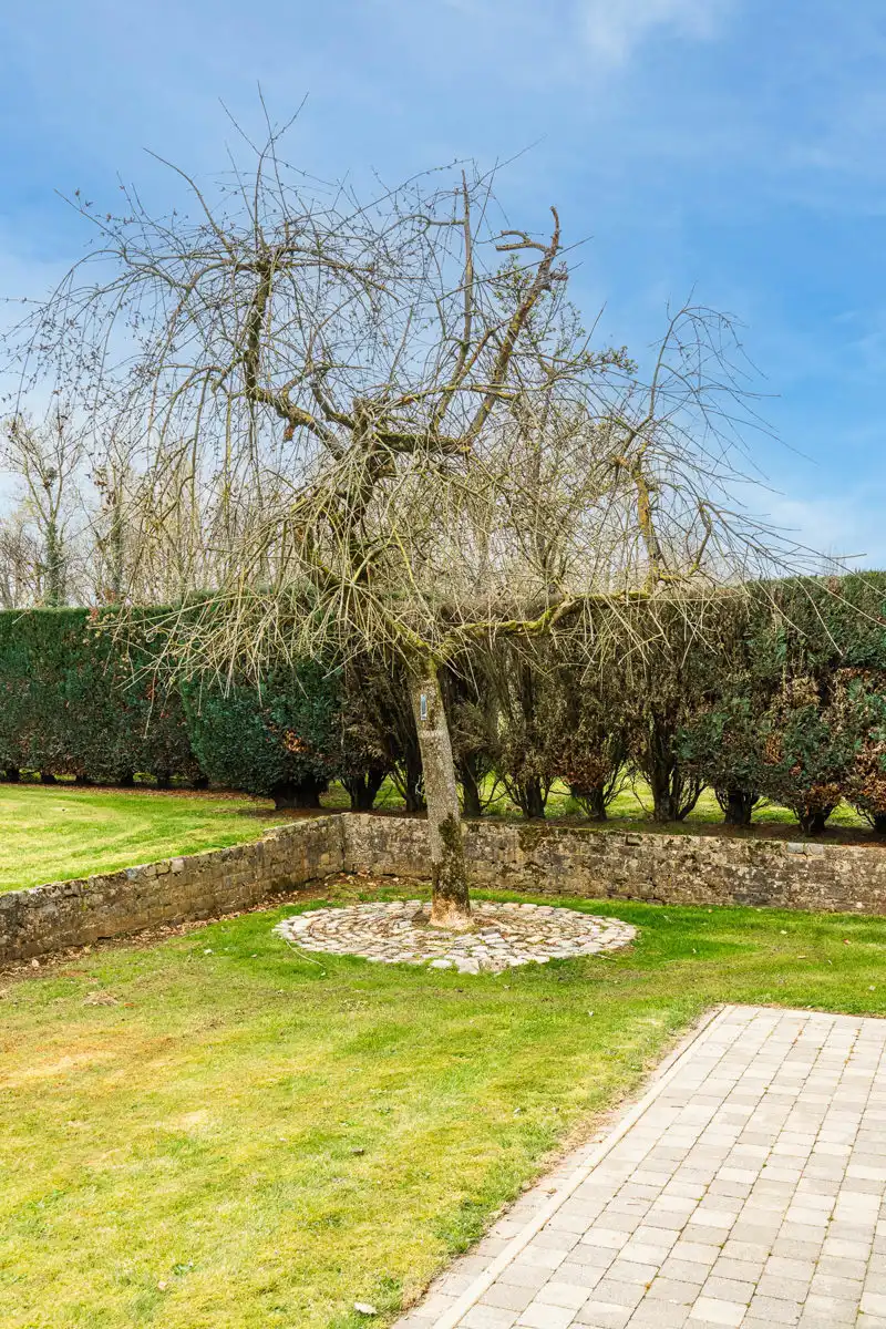 Charmante laagbouwvilla omgeven door permanente weilanden foto 36