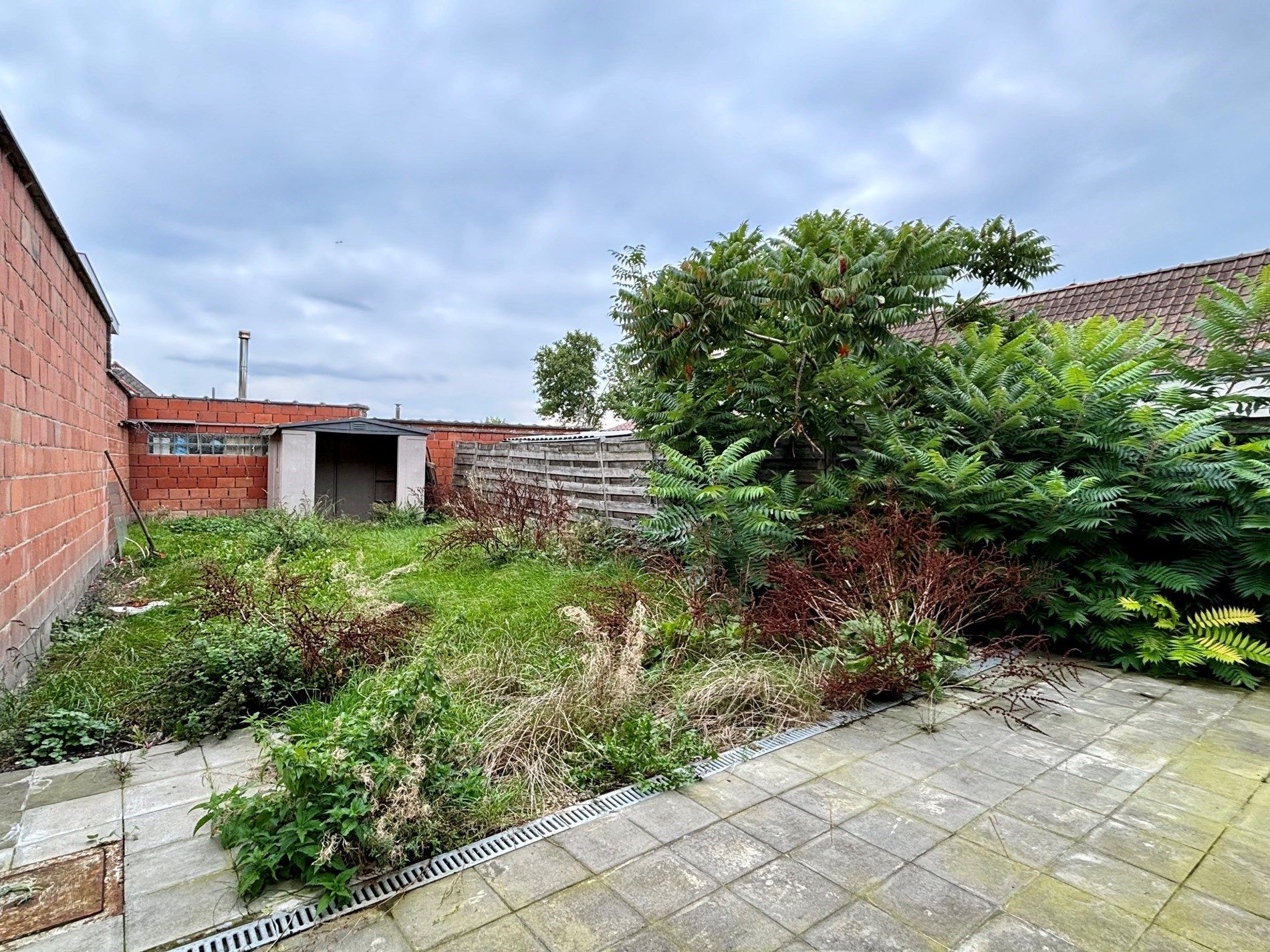 Gezellige woning met 2 slaapkamers nabij Kortrijk foto 5