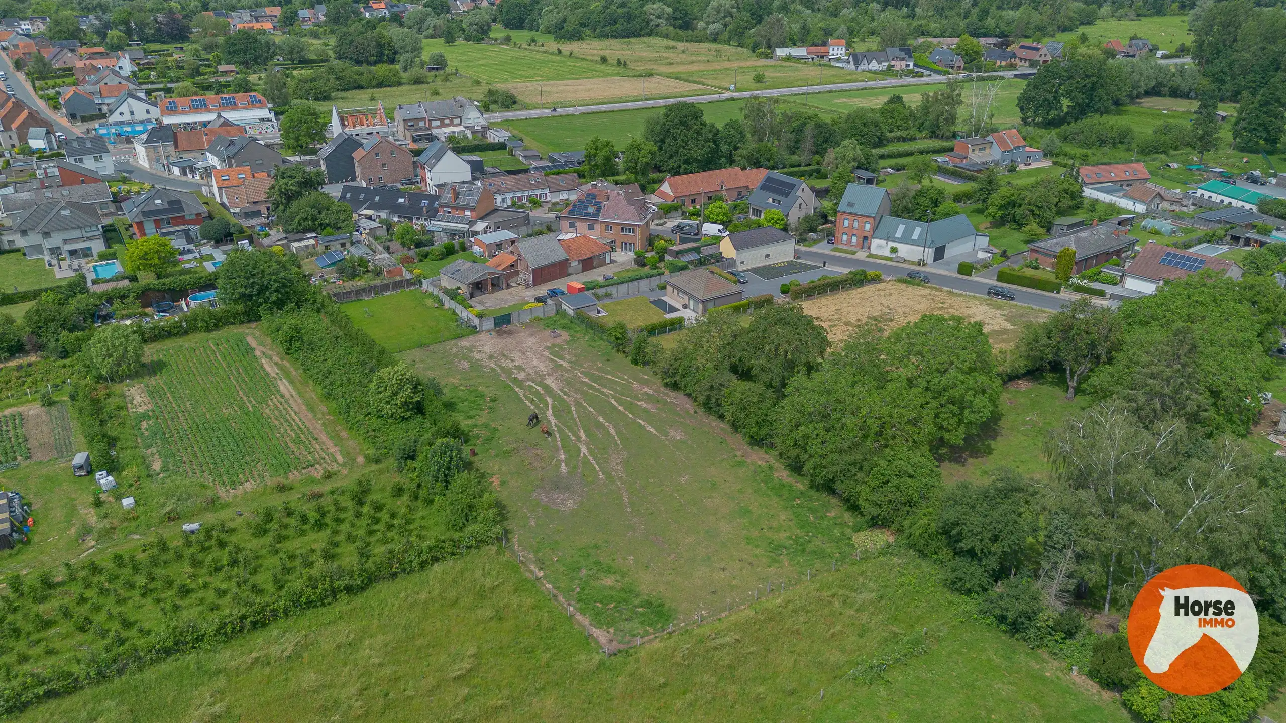 LIEDEKERKE – Gezinswoning met weide en loodsen op 30a 25ca foto 2