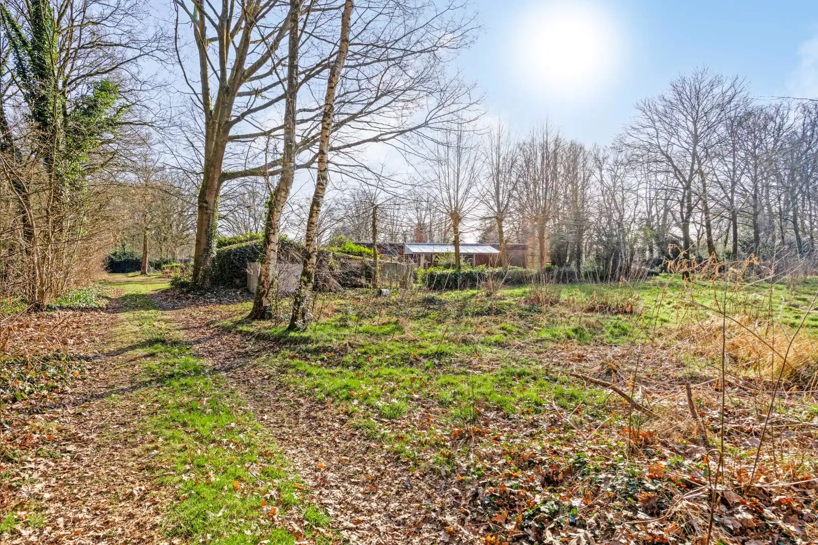 Unieke woonst op 13 hectare: rust, natuur en eindeloze mogelijkheden! foto 12