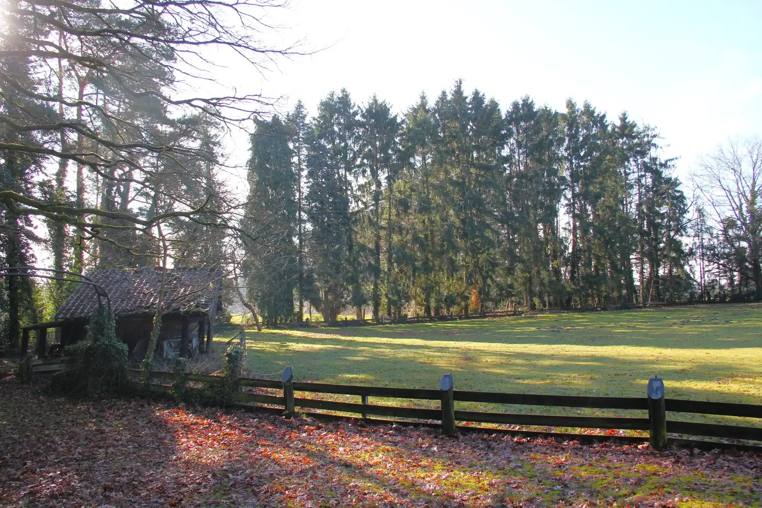 Uniek gelegen vrijstaande gezinswoning met 3 slaapkamers midden in de natuur op een perceel van 54 are in As centrum! foto 47