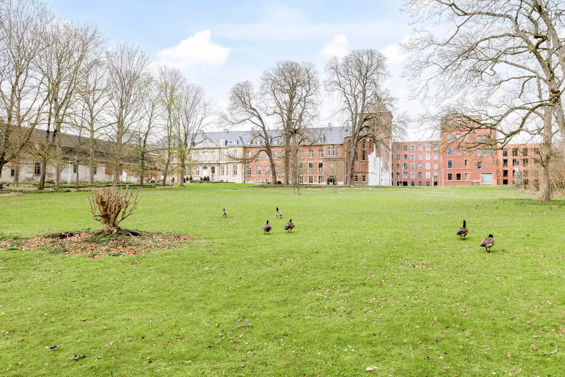 Ruime assistentiewoning met twee slaapkamers op topligging foto 26