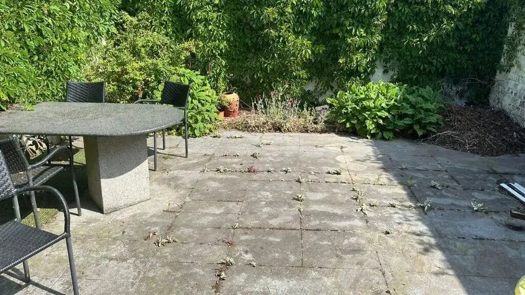 Handelspand met woonst te koop in Sint-Michiels Brugge foto 5