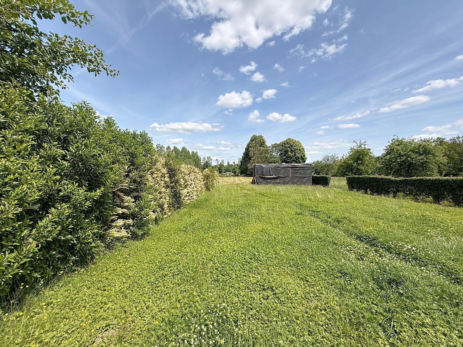 Instapklare kwalitatieve BEN woning met zeer ruime tuin  foto 28