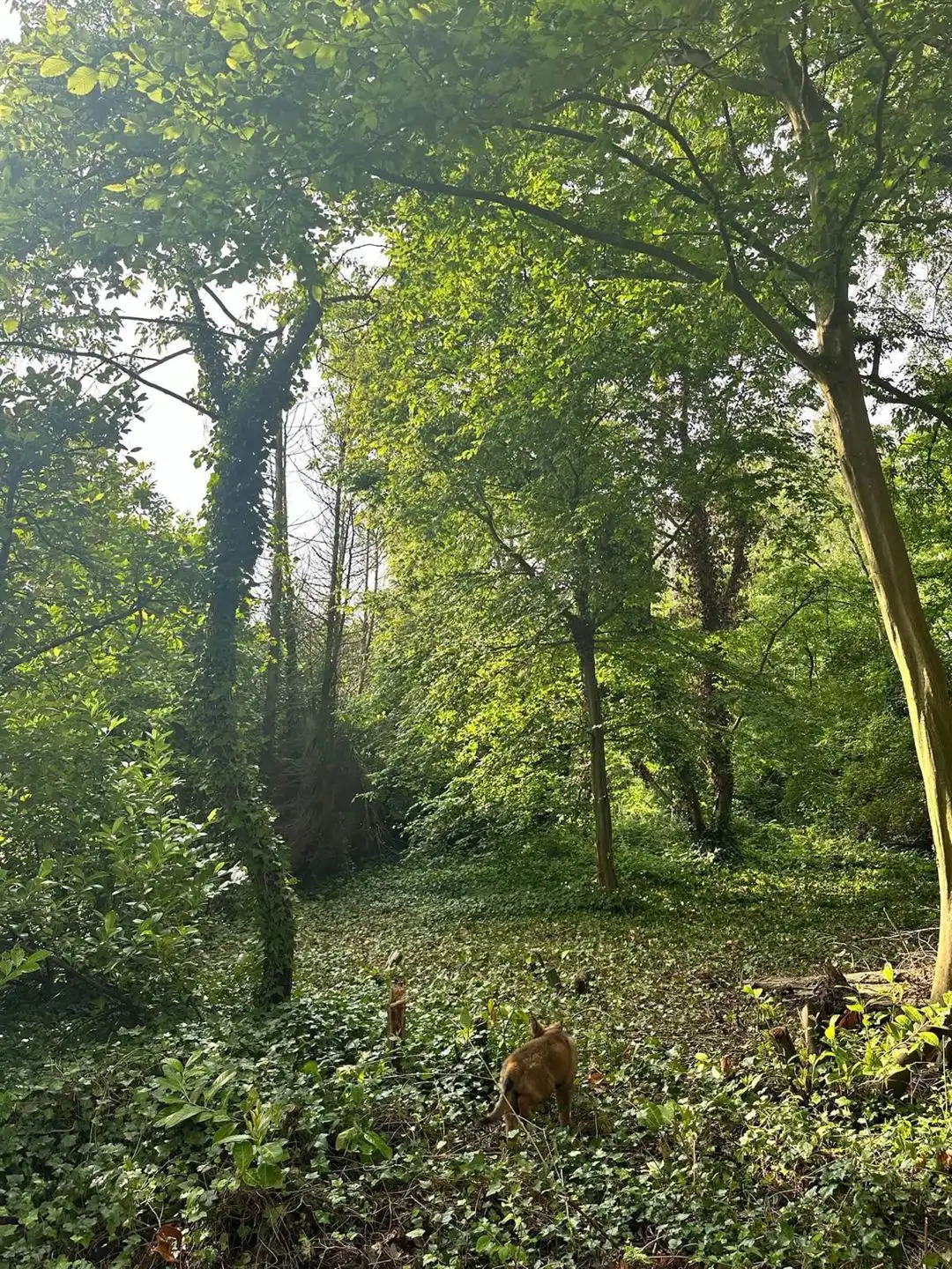 Villa te koop foto 15