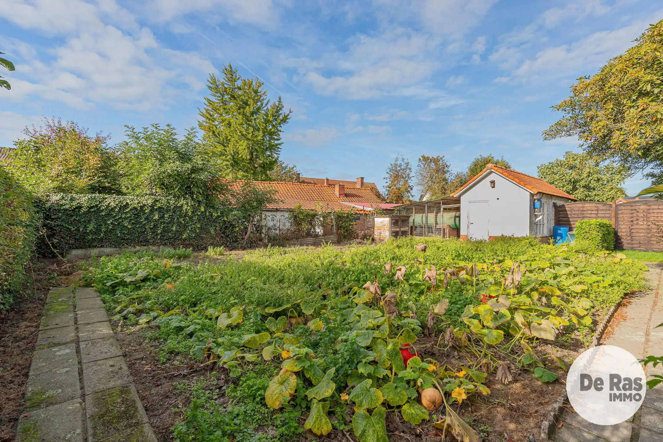 SCHELLEBELLE- Te renoveren woning in een rustige verkaveling foto 9