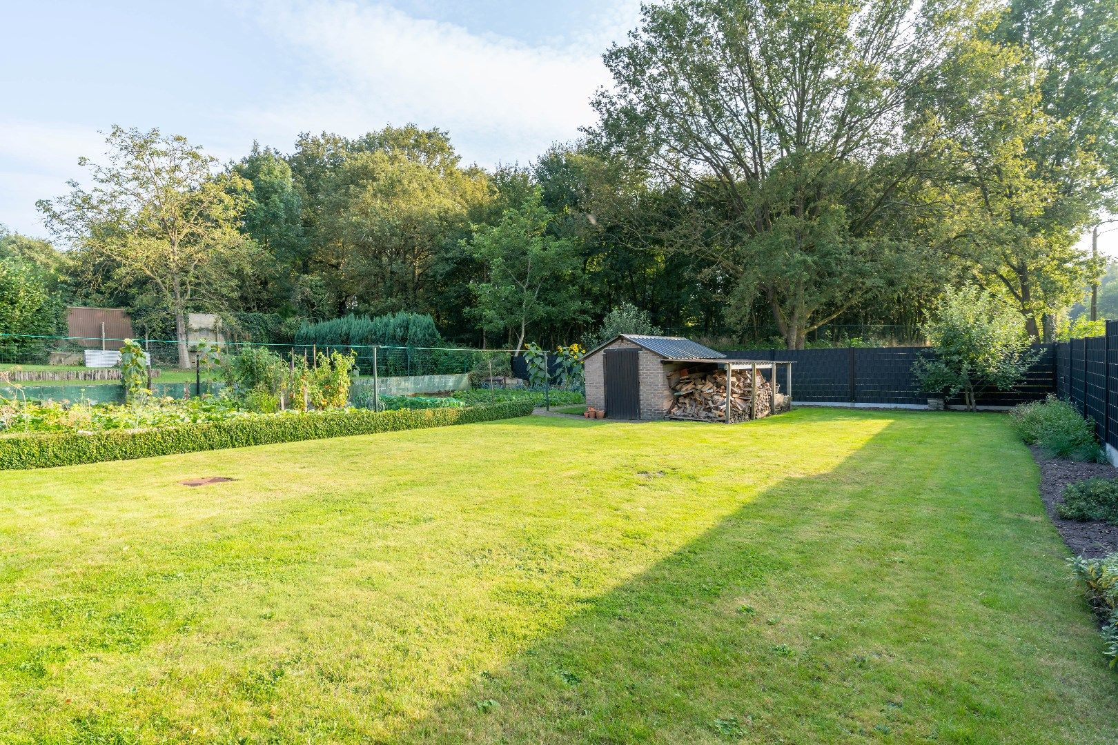 Energiezuinige bungalow vlakbij de mijncite van Genk. foto 7