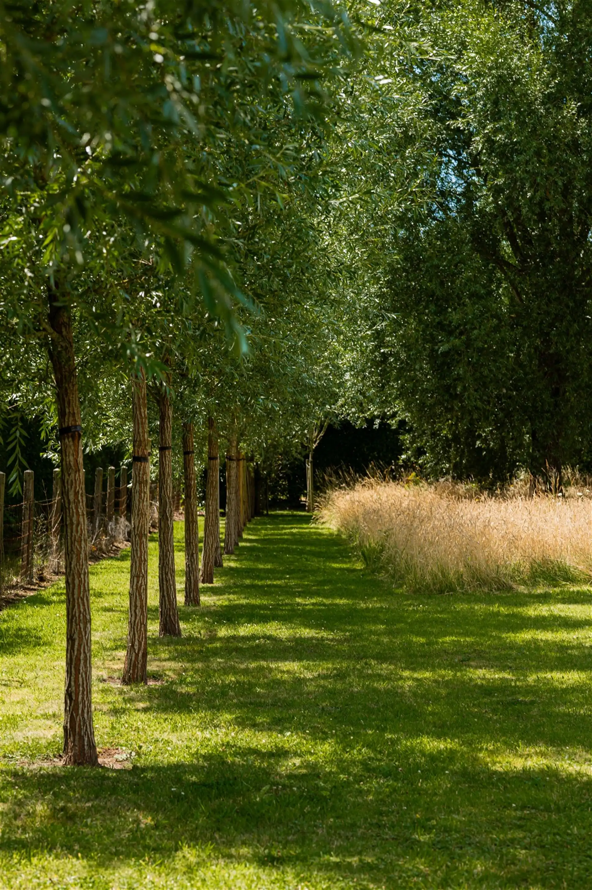 Te renoveren hoeve in het pittoreske Moregem foto 8