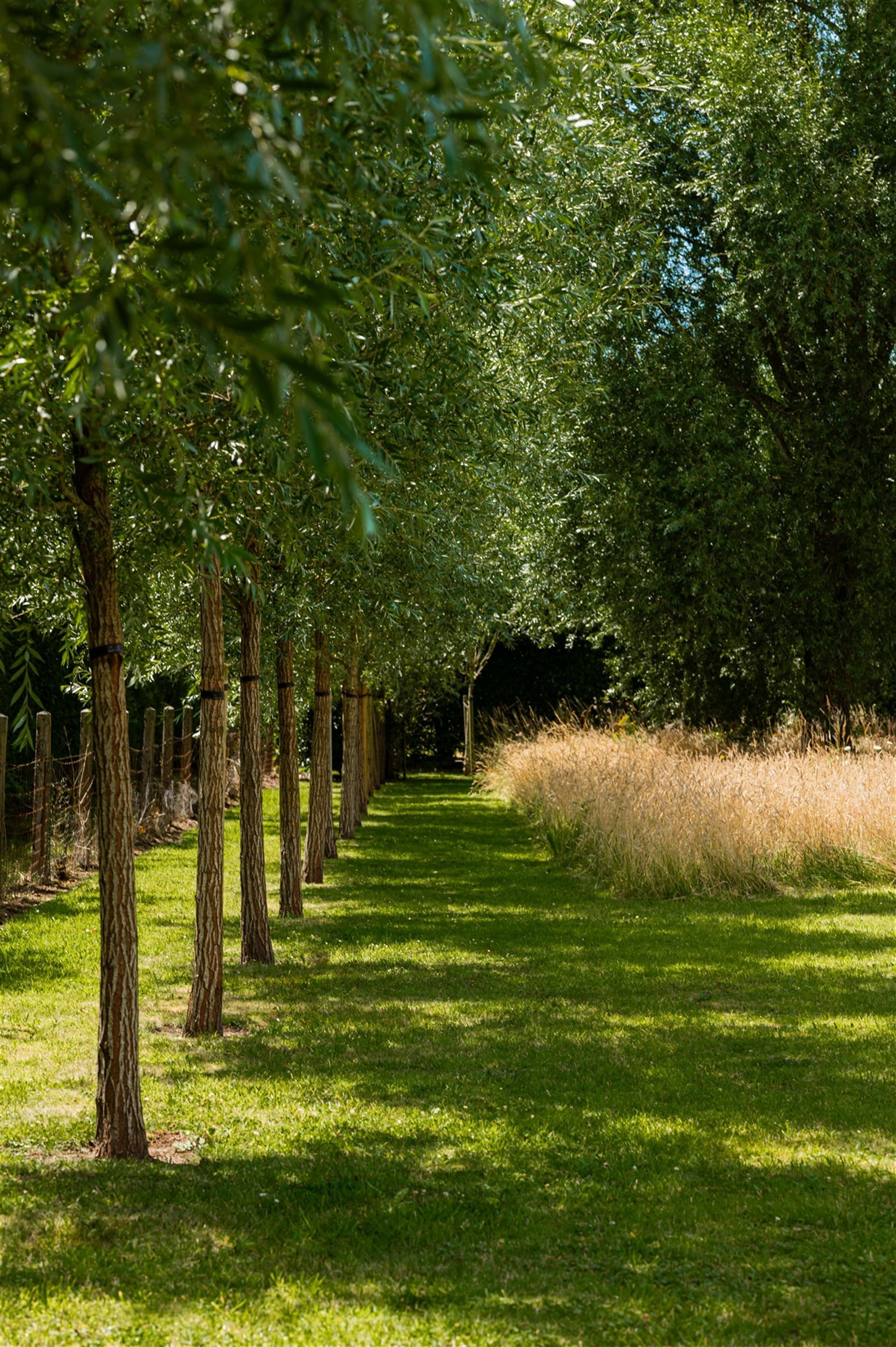 Te renoveren hoeve in het pittoreske Moregem foto 8