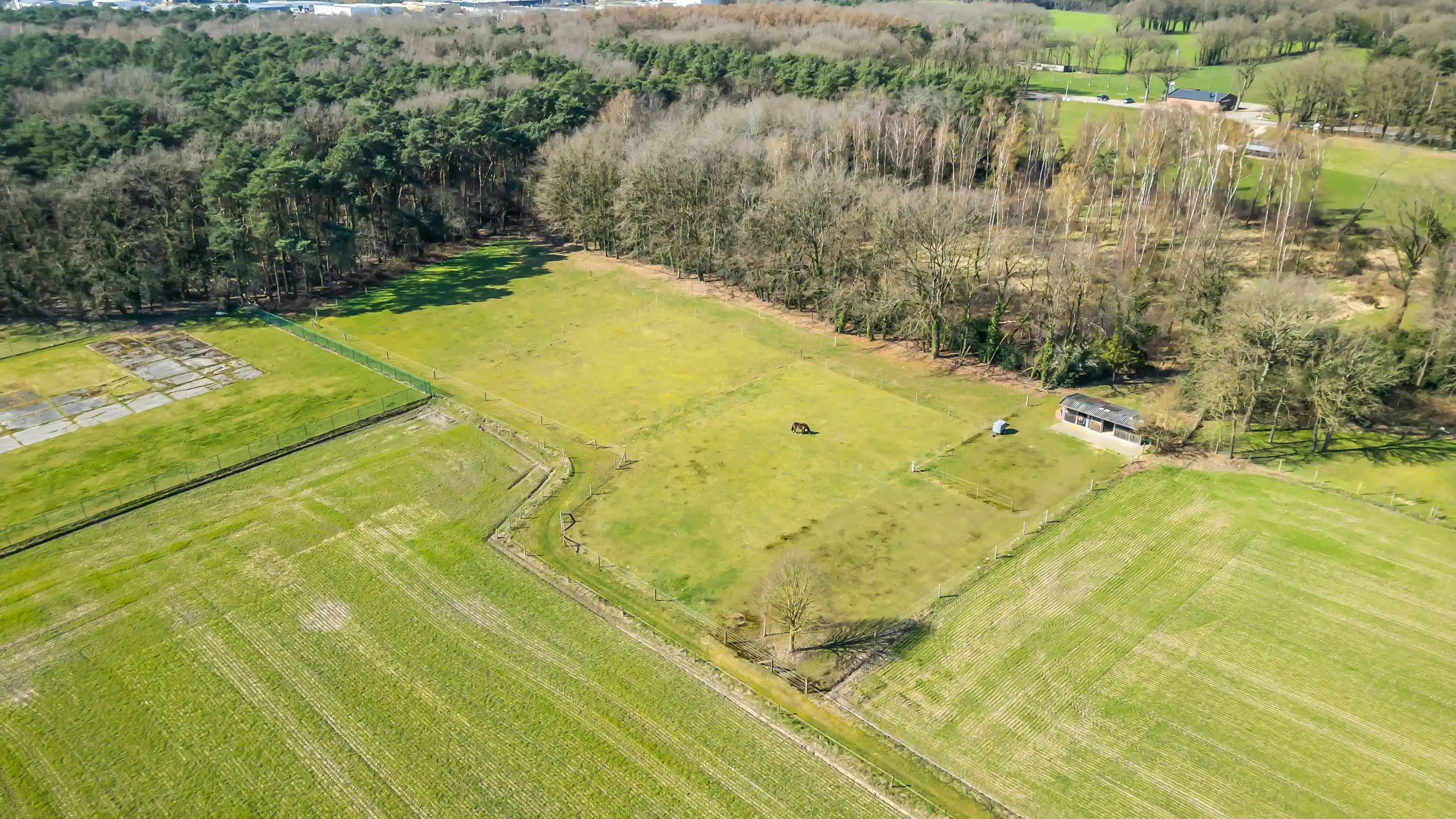 OPGLABBEEK - Gezinswoning met tuin, weide en paardenstallen  foto 27