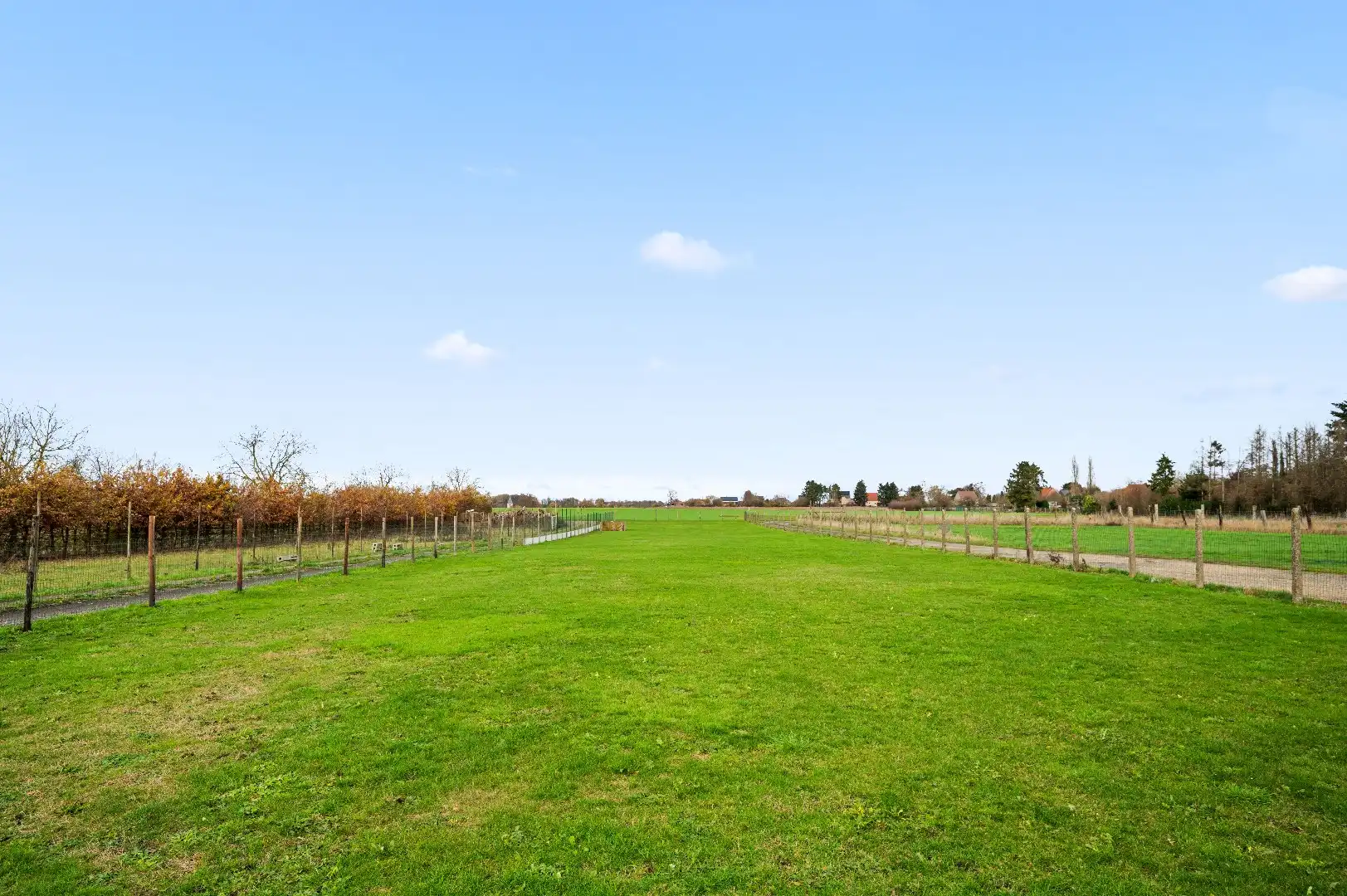 Open bebouwing op een riant perceel te Bekkevoort foto 4