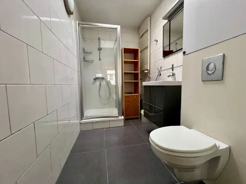 RIJWONING MET DRIE SLAAPKAMERS EN GEPLAVEIDE KOER foto 6