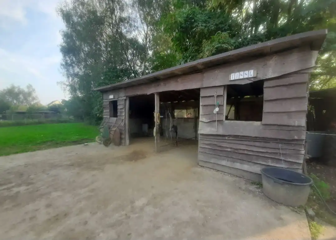 Weiland met paardenstallen op een opp. van 1,43ha foto 6