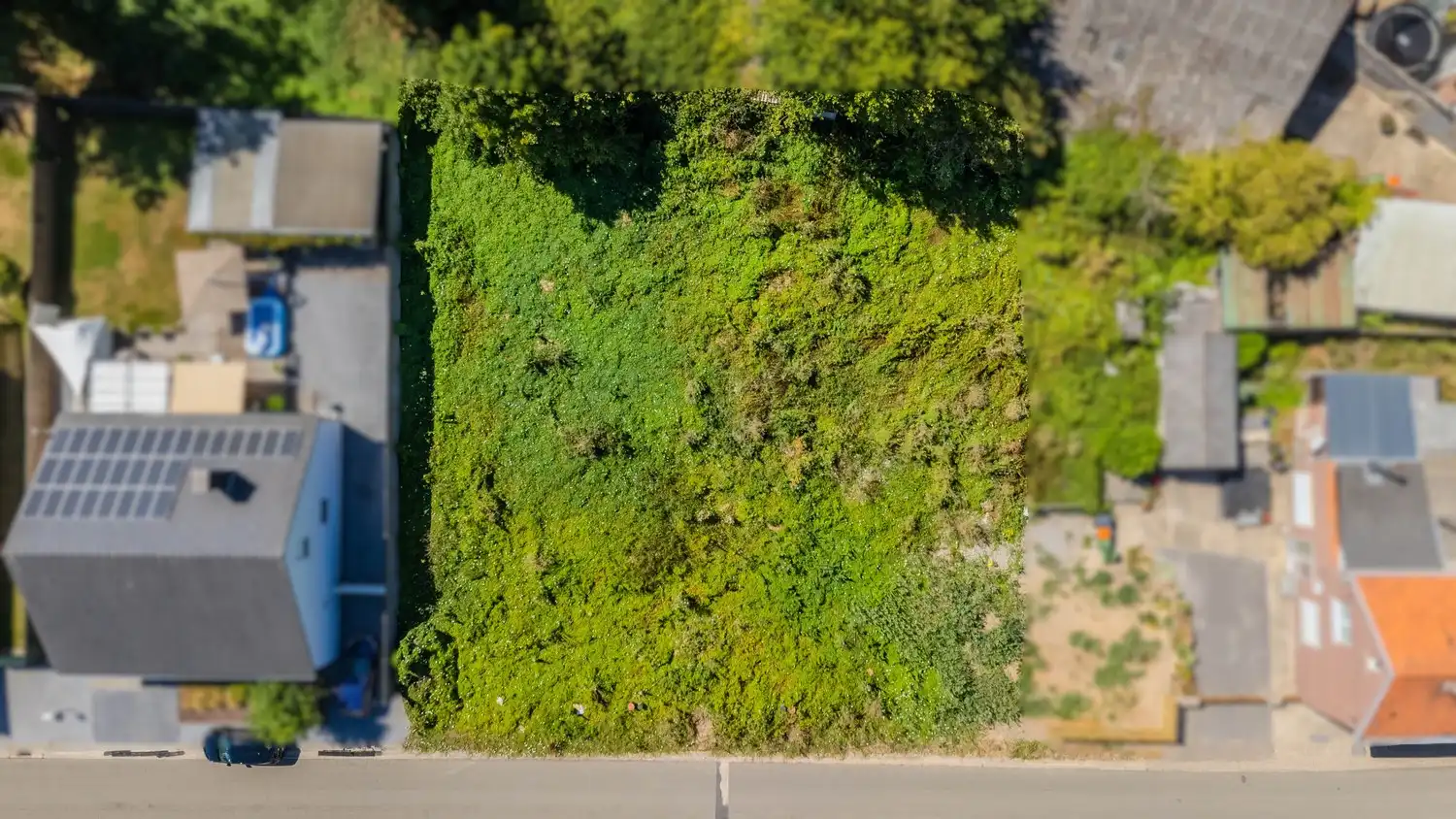 Vrijstaand wonen in het landelijke Hees, gezellige deelgemeente van Bilzen-Hoeselt én vlakbij Maastricht! foto 3