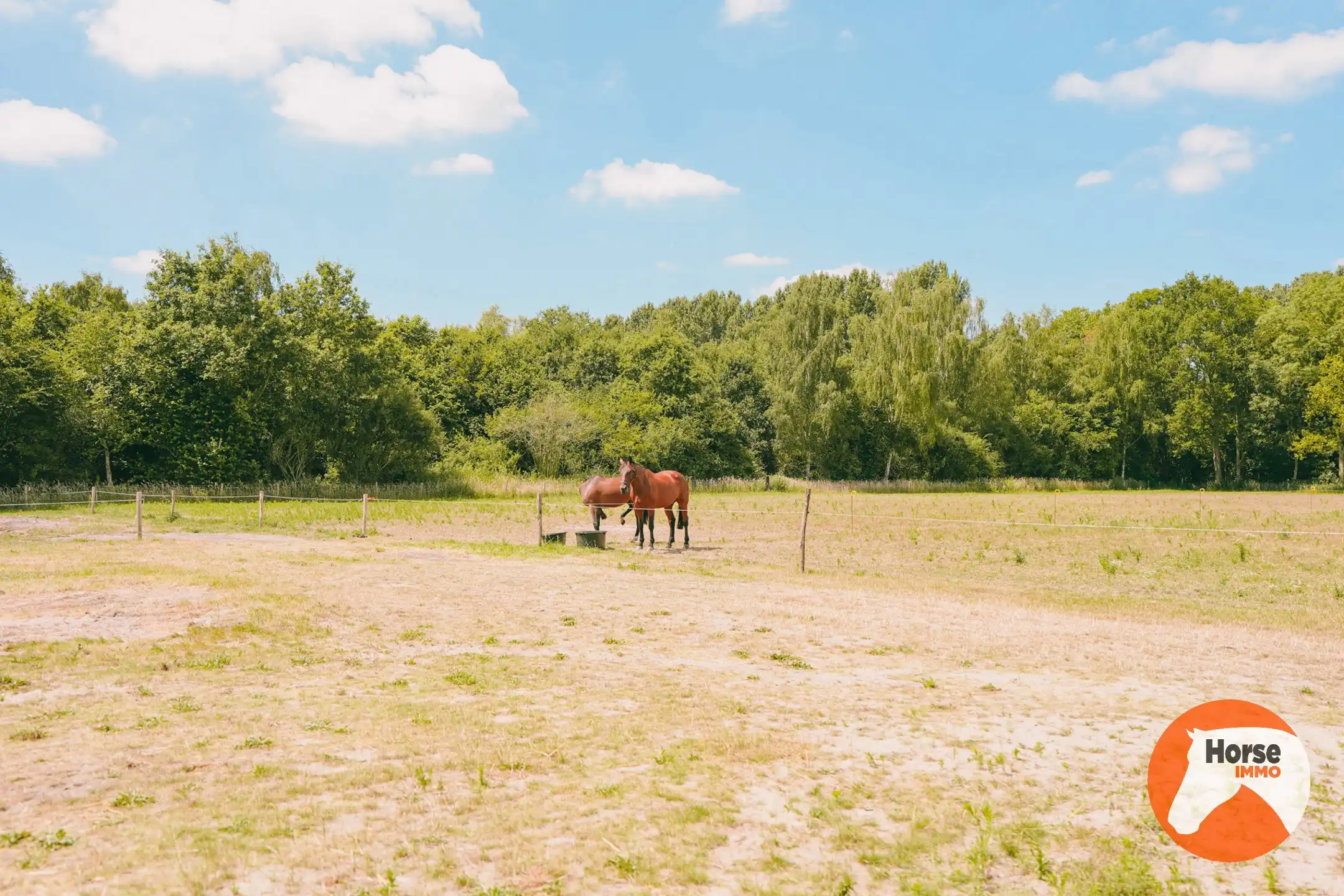 AXEL - Hoeve op een goede locatie met paardenfaciliteiten foto 55