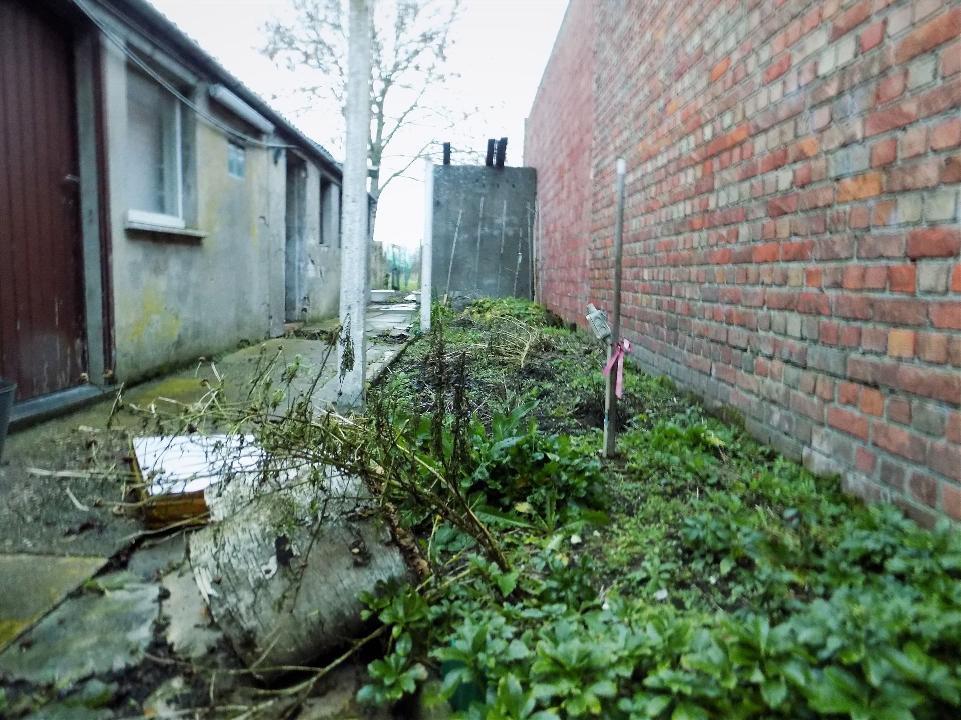 Uniek renovatieproject op 861m² in hartje Zandvoorde foto 15