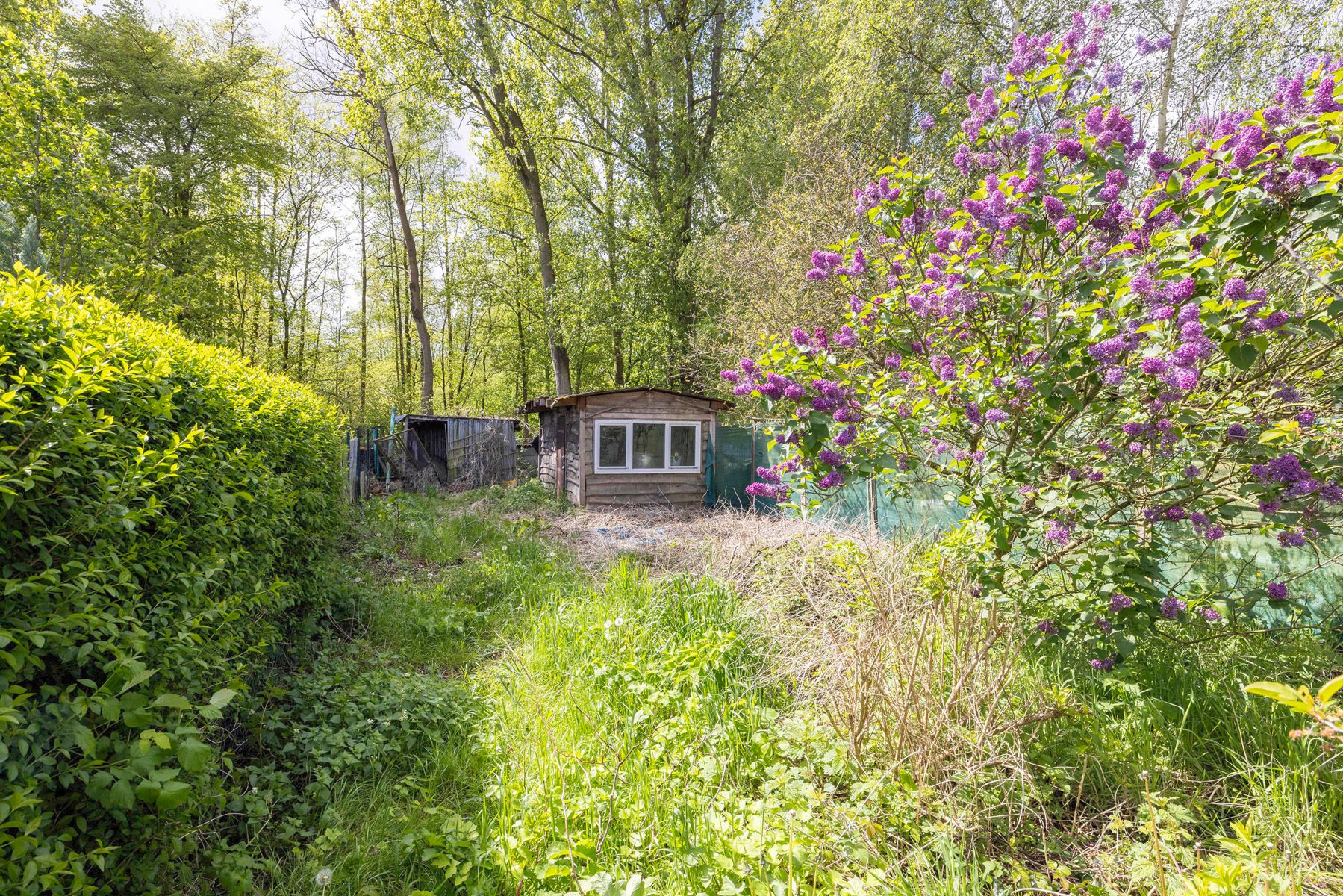 Te renoveren woning op een perceel van 509m² foto 5