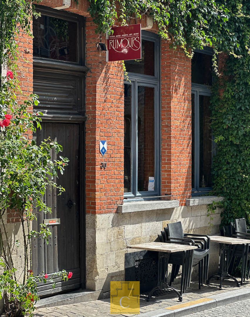Huis Flori Van Acker, woon- en handelshuis met historisch cachet, groot en zonnig terras met subiem zicht op Sint-Salvatorskathedraal foto 3